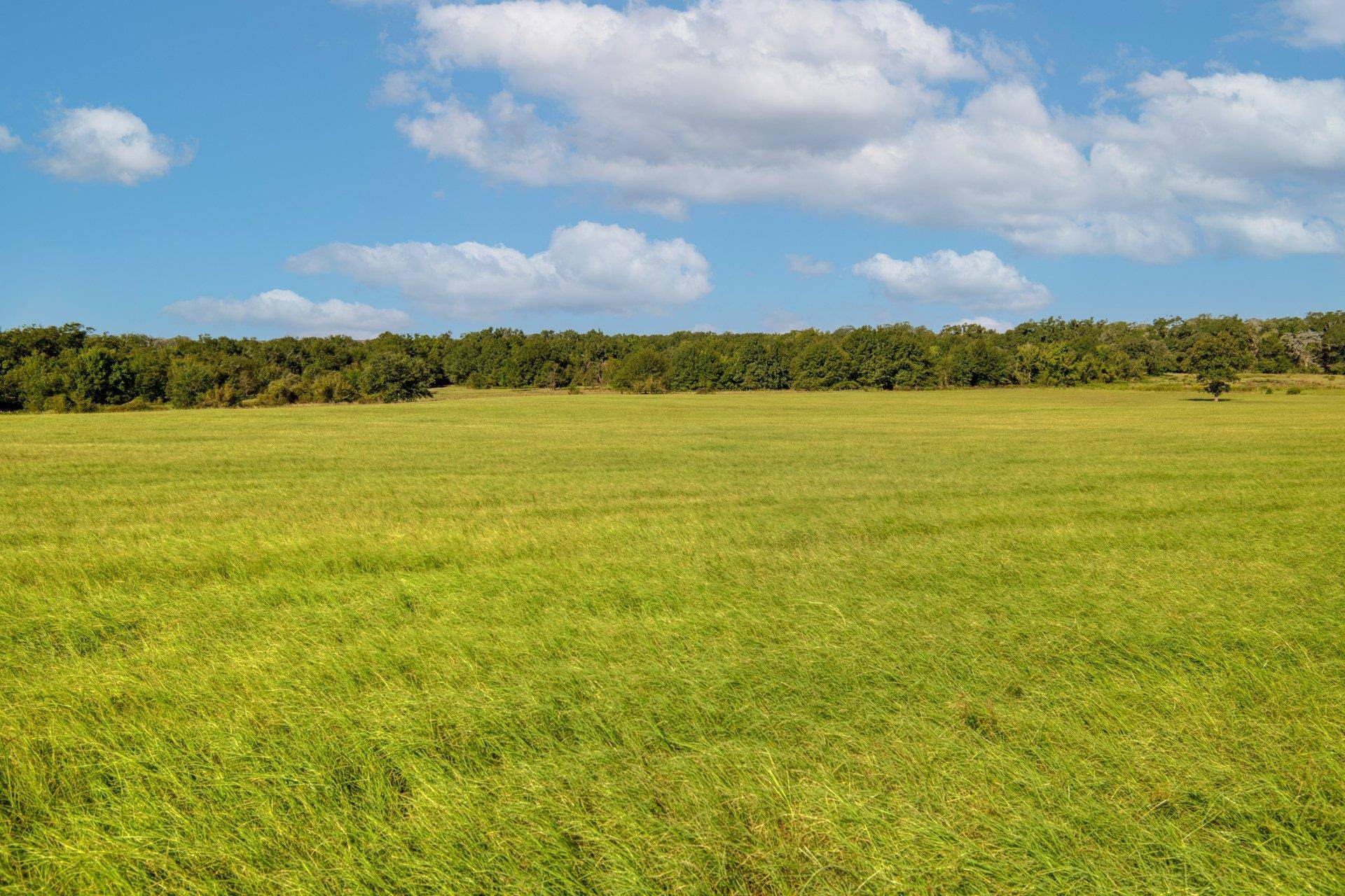 TBD CR 302 RD, Rockdale, TX 76567