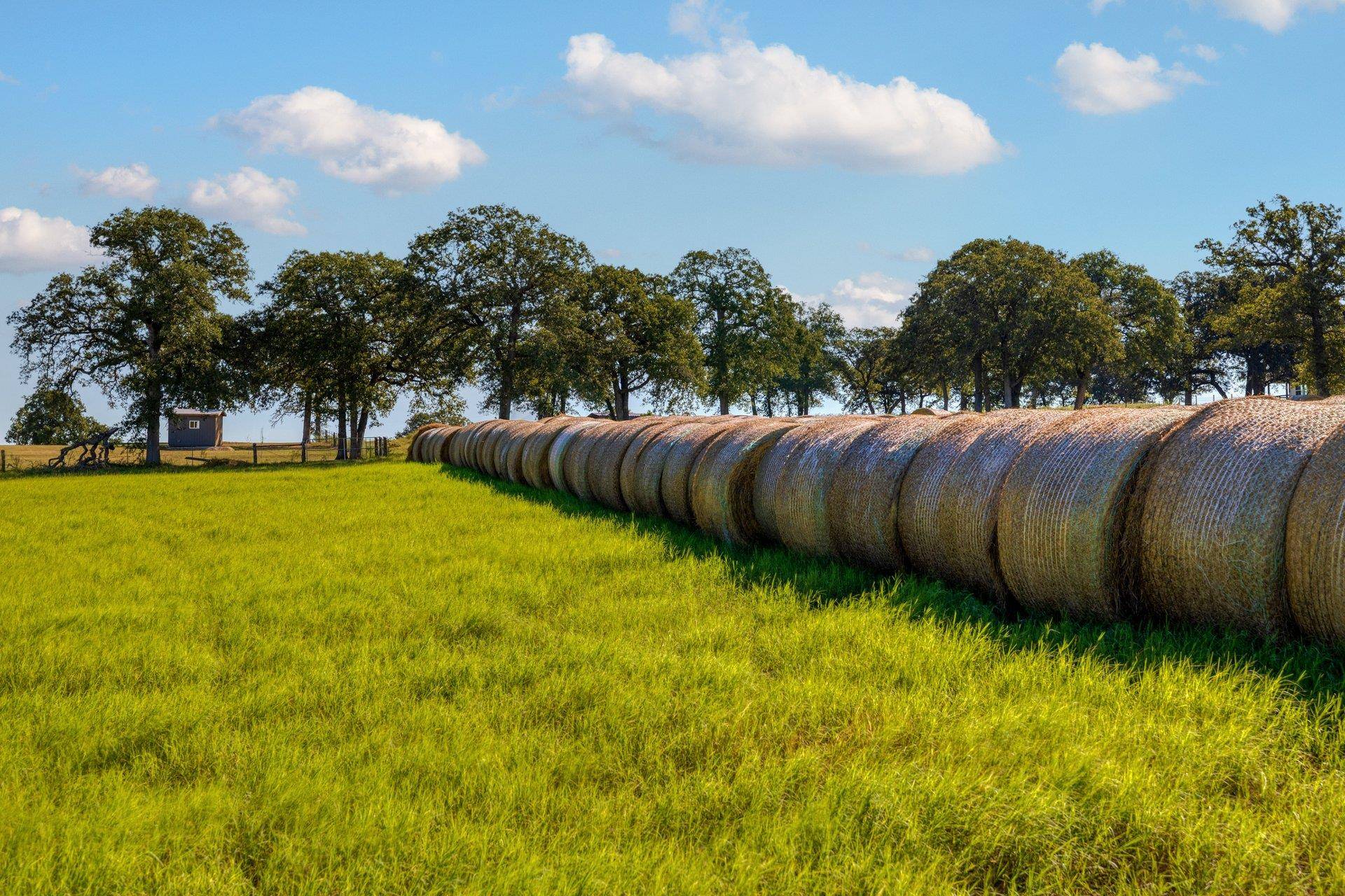 TBD CR 302 RD, Rockdale, TX 76567