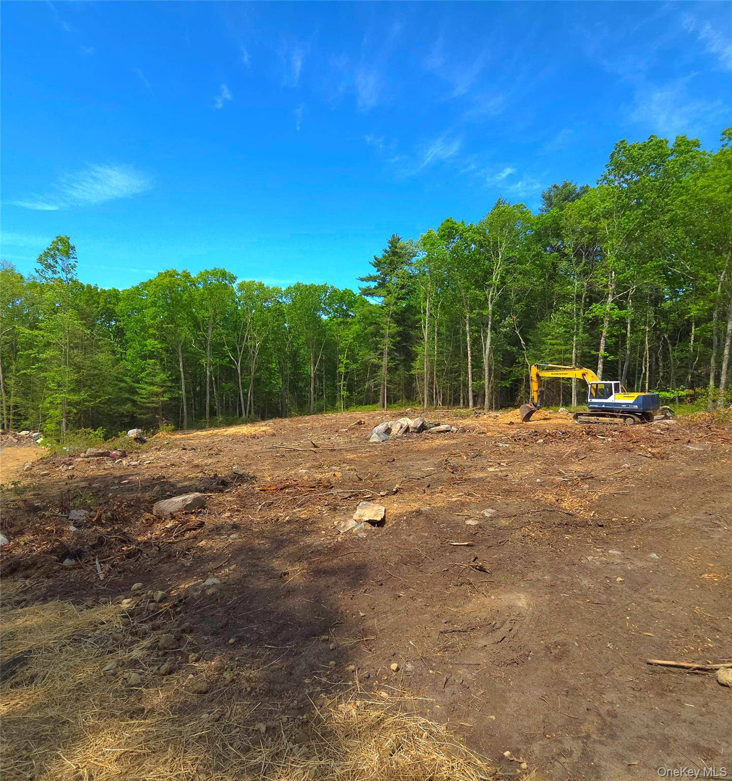 1027 Pine Kill RD, Wurtsboro, NY 12790