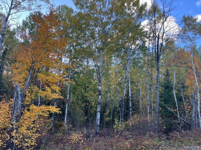 TBD S Loon Lake Rd., Aurora, MN 55705