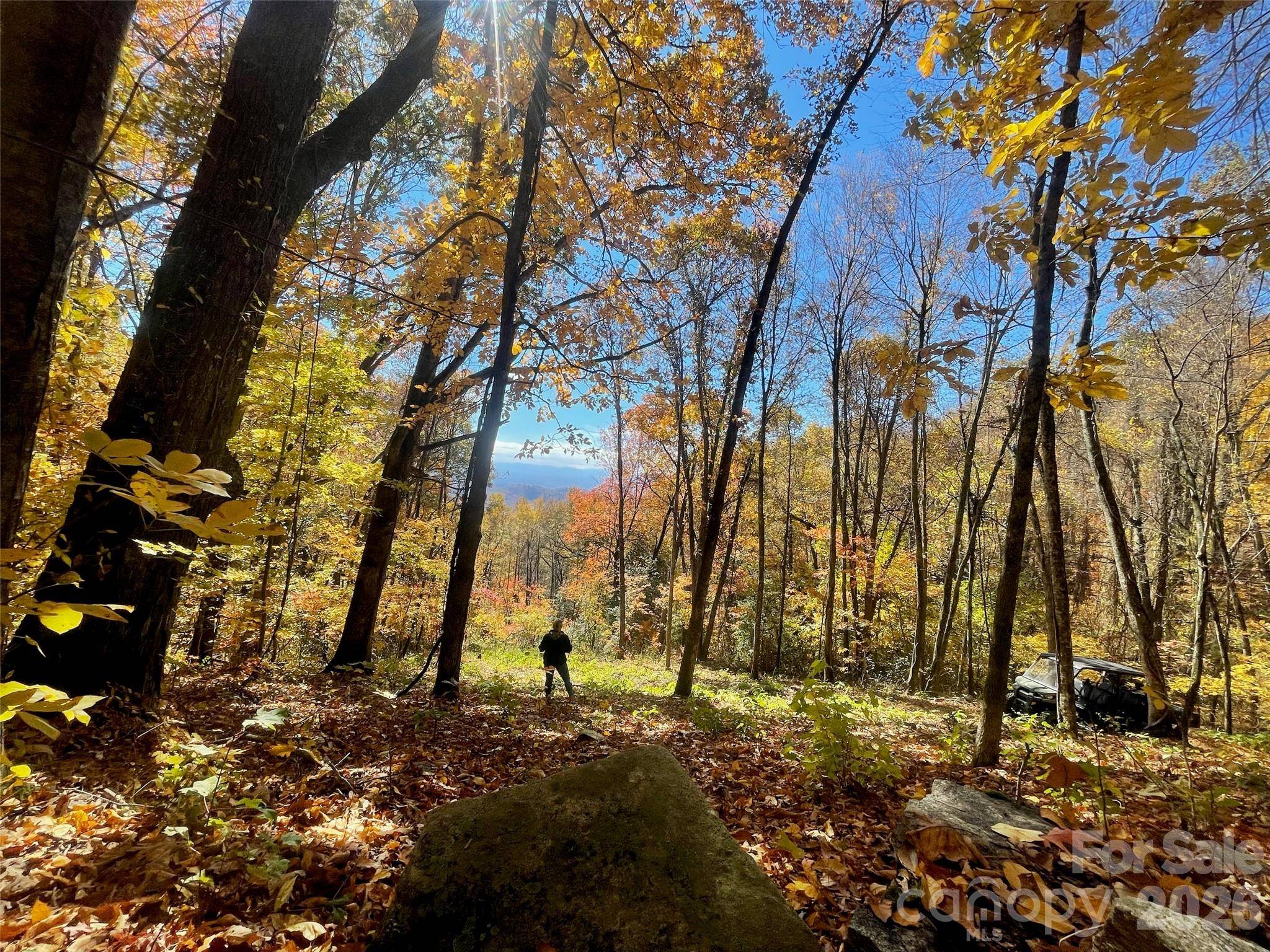 00000 New Sprout LN #1, Hendersonville, NC 28792