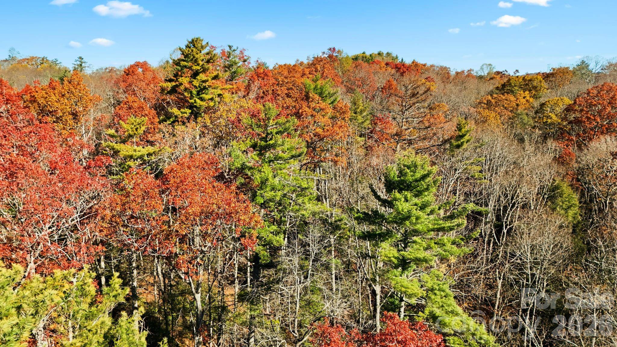 TBD Midway RD, Linville Falls, NC 28647