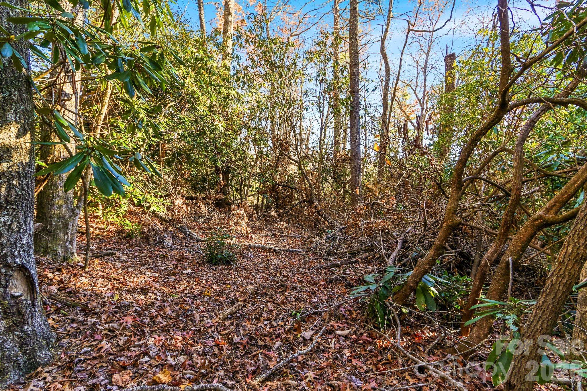 TBD Midway RD, Linville Falls, NC 28647