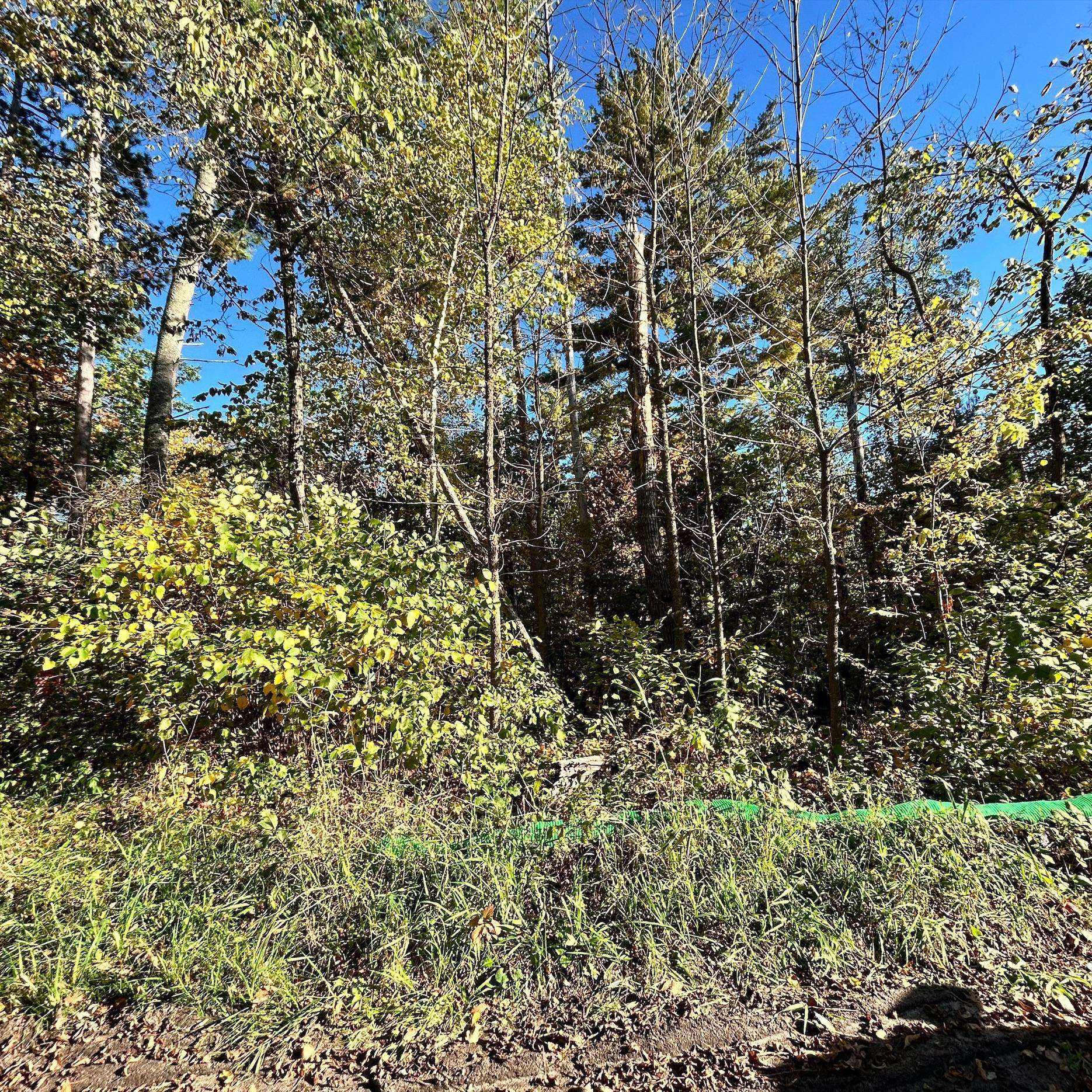 TBD Edna Lake RD, Nisswa, MN 56468