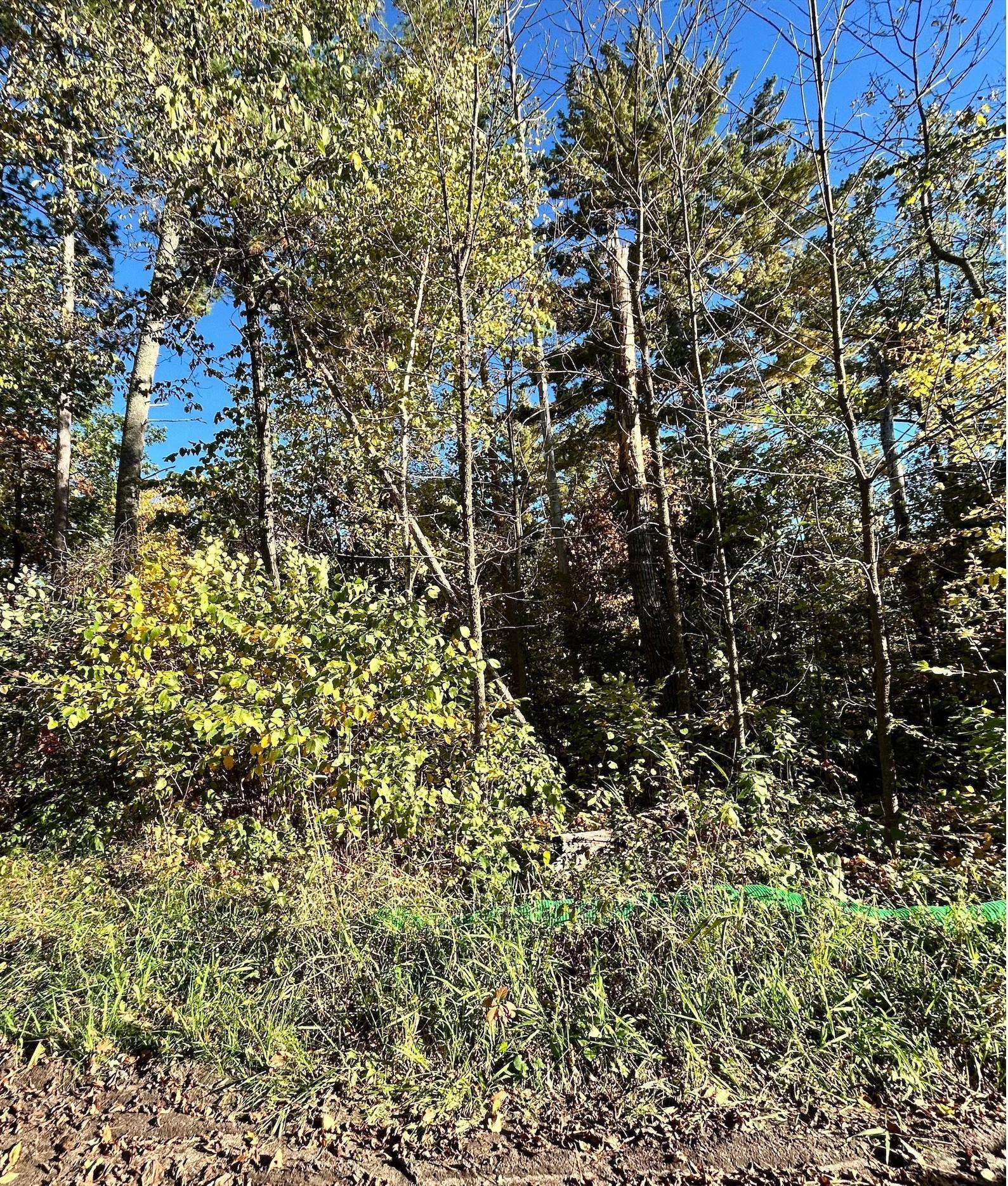 TBD Edna Lake RD, Nisswa, MN 56468