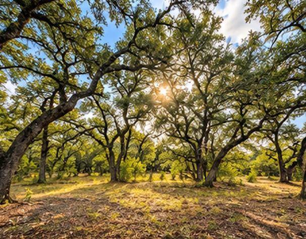 208 Viento CV, Blanco, TX 78606