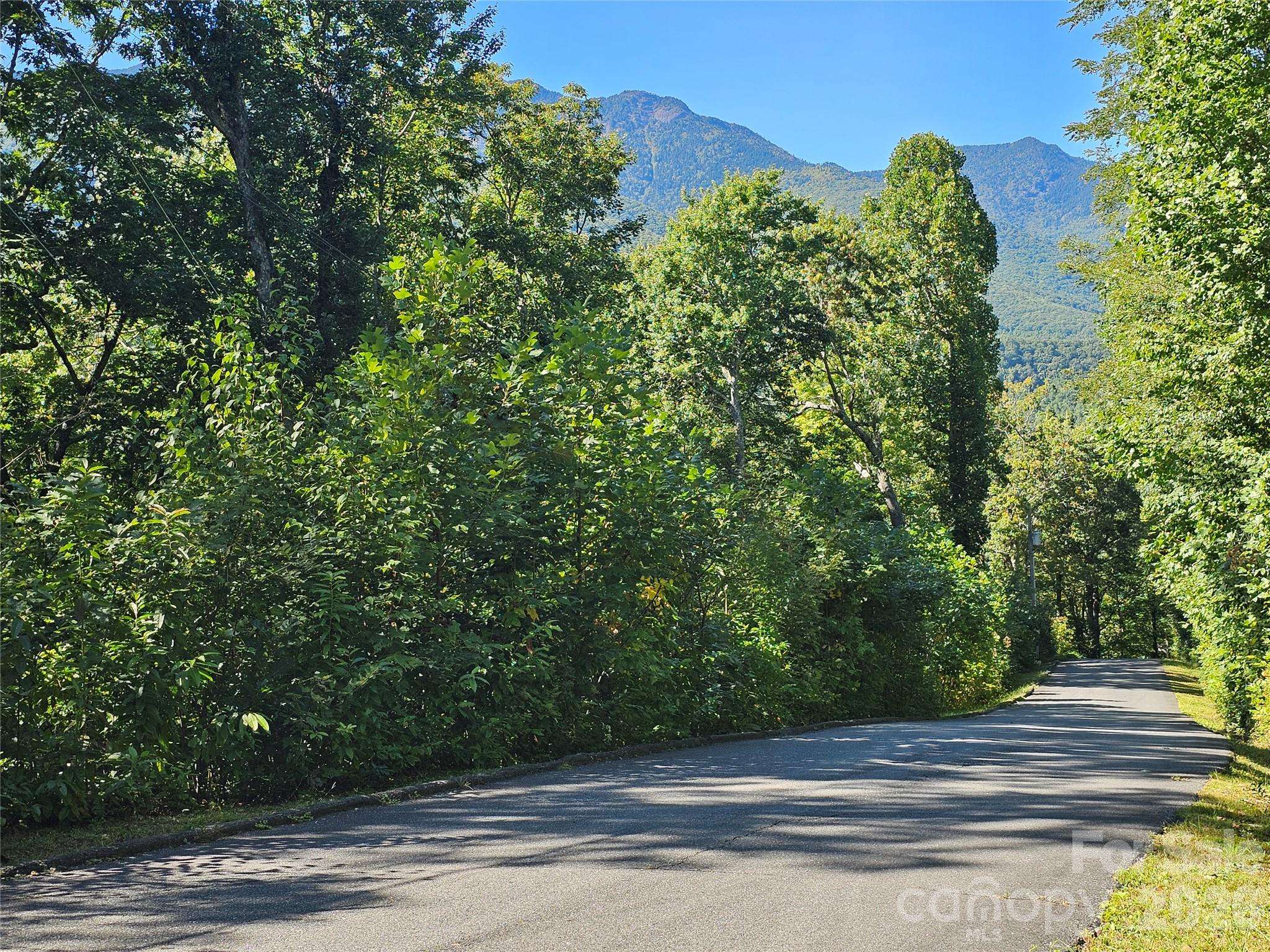 109 Big Ridge RD #109, Burnsville, NC 28714
