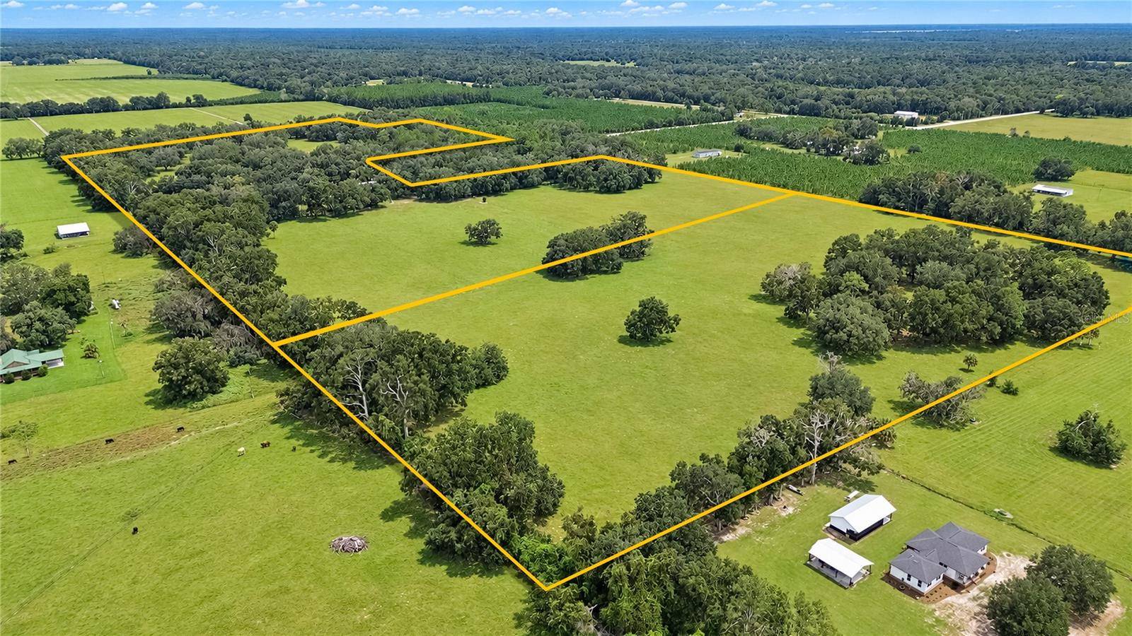 7590 NW 75TH ST, Chiefland, FL 32626