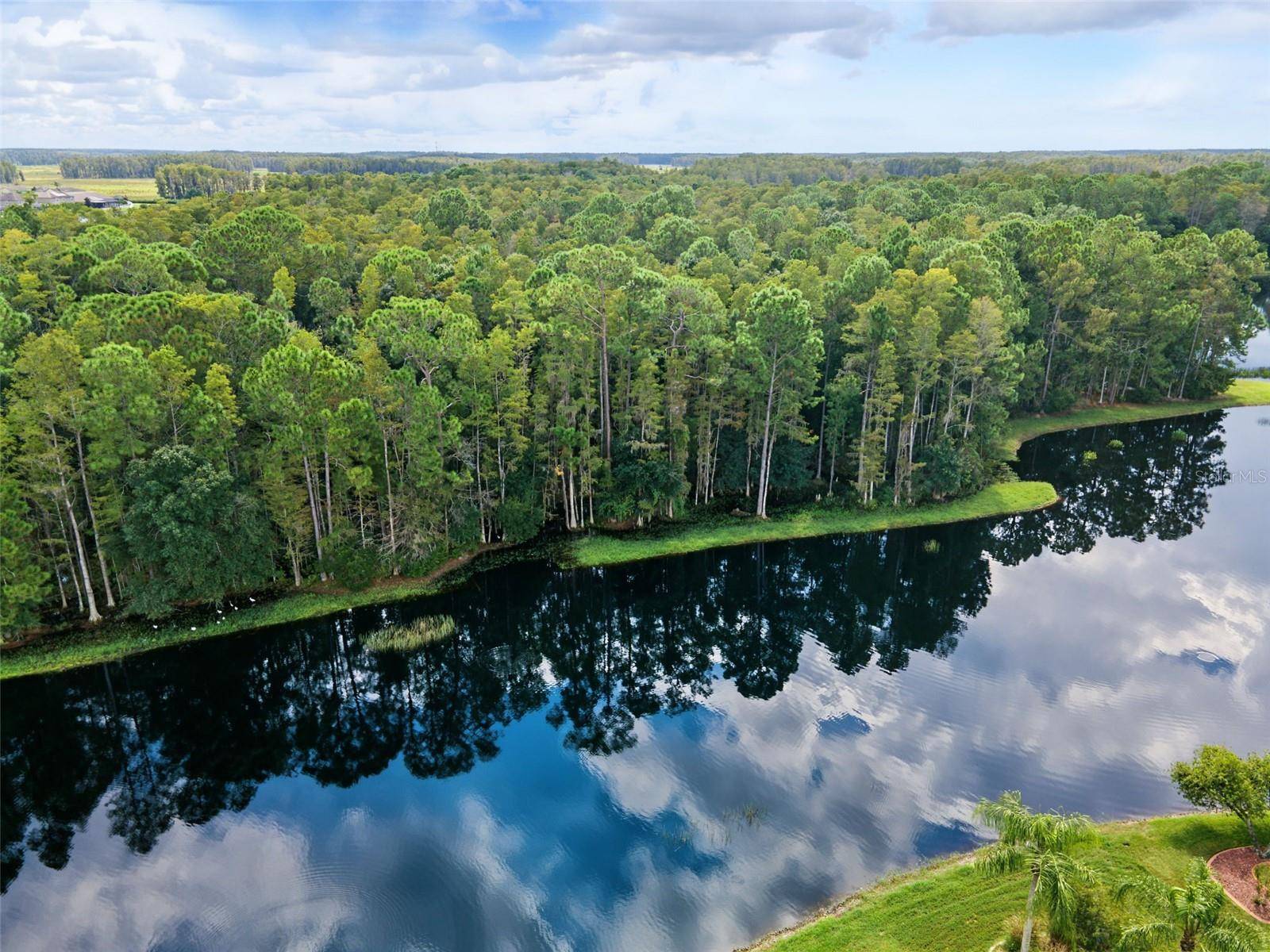 1300 TRIMARAN PL, Trinity, FL 34655