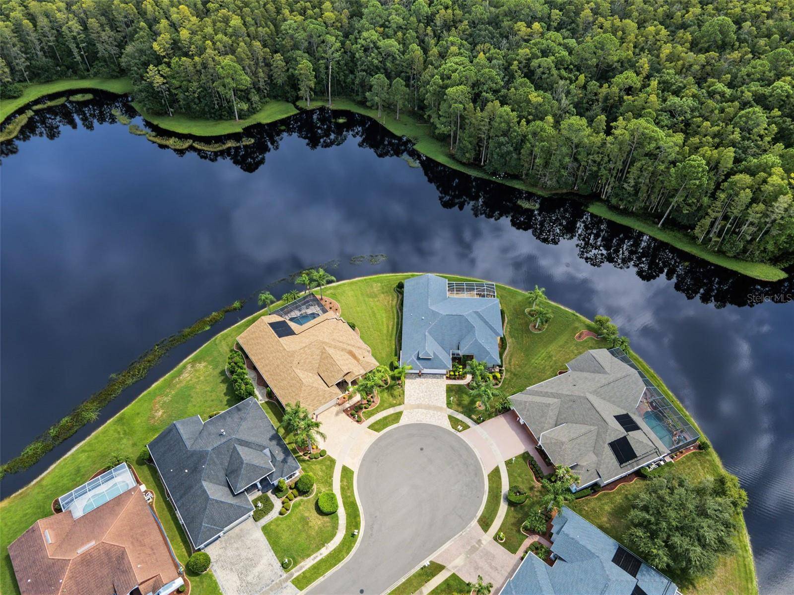 1300 TRIMARAN PL, Trinity, FL 34655