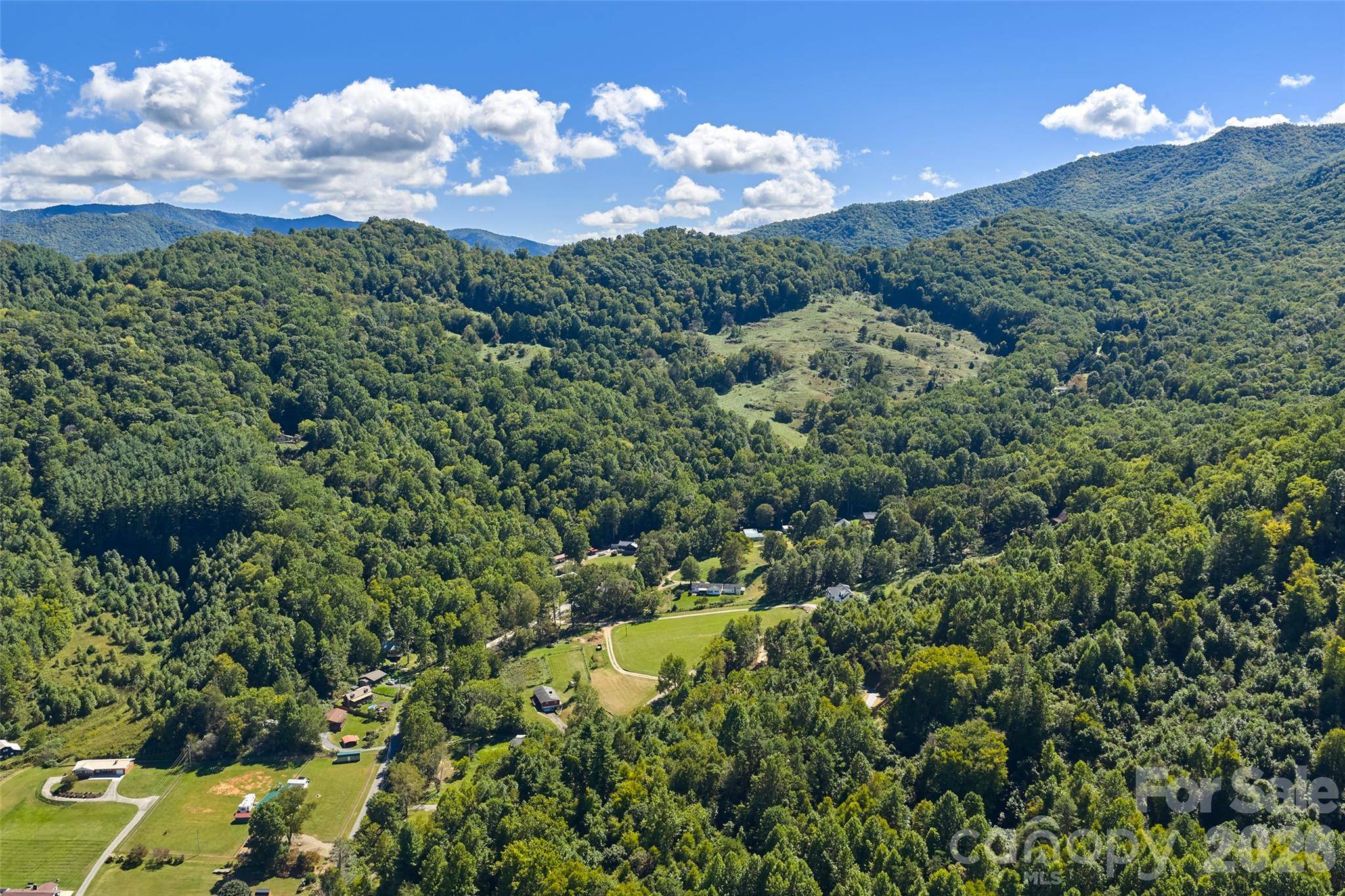 60 Spring Mountain DR, Canton, NC 28716