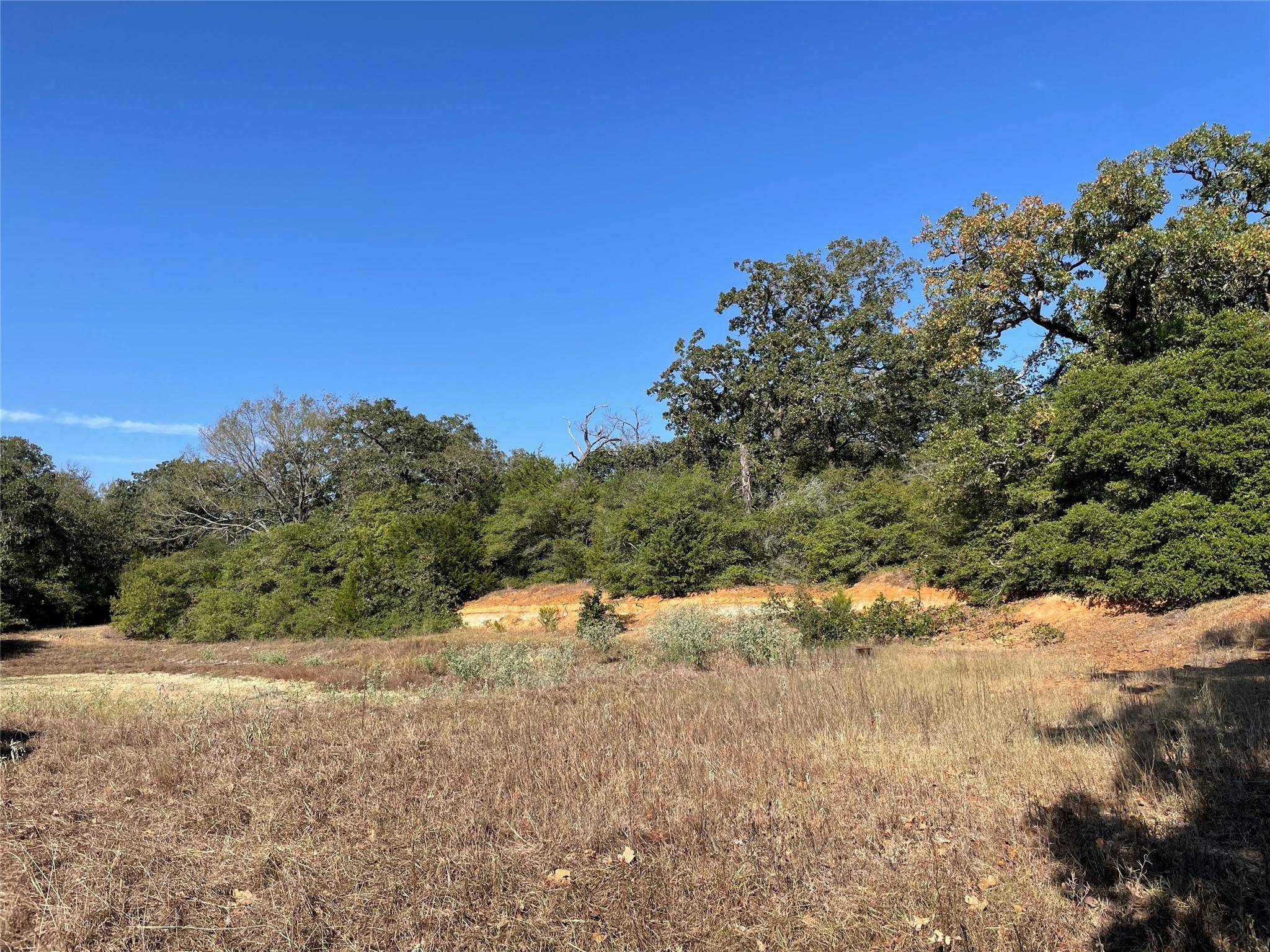 1813 Lone Star LN, Franklin, TX 77856