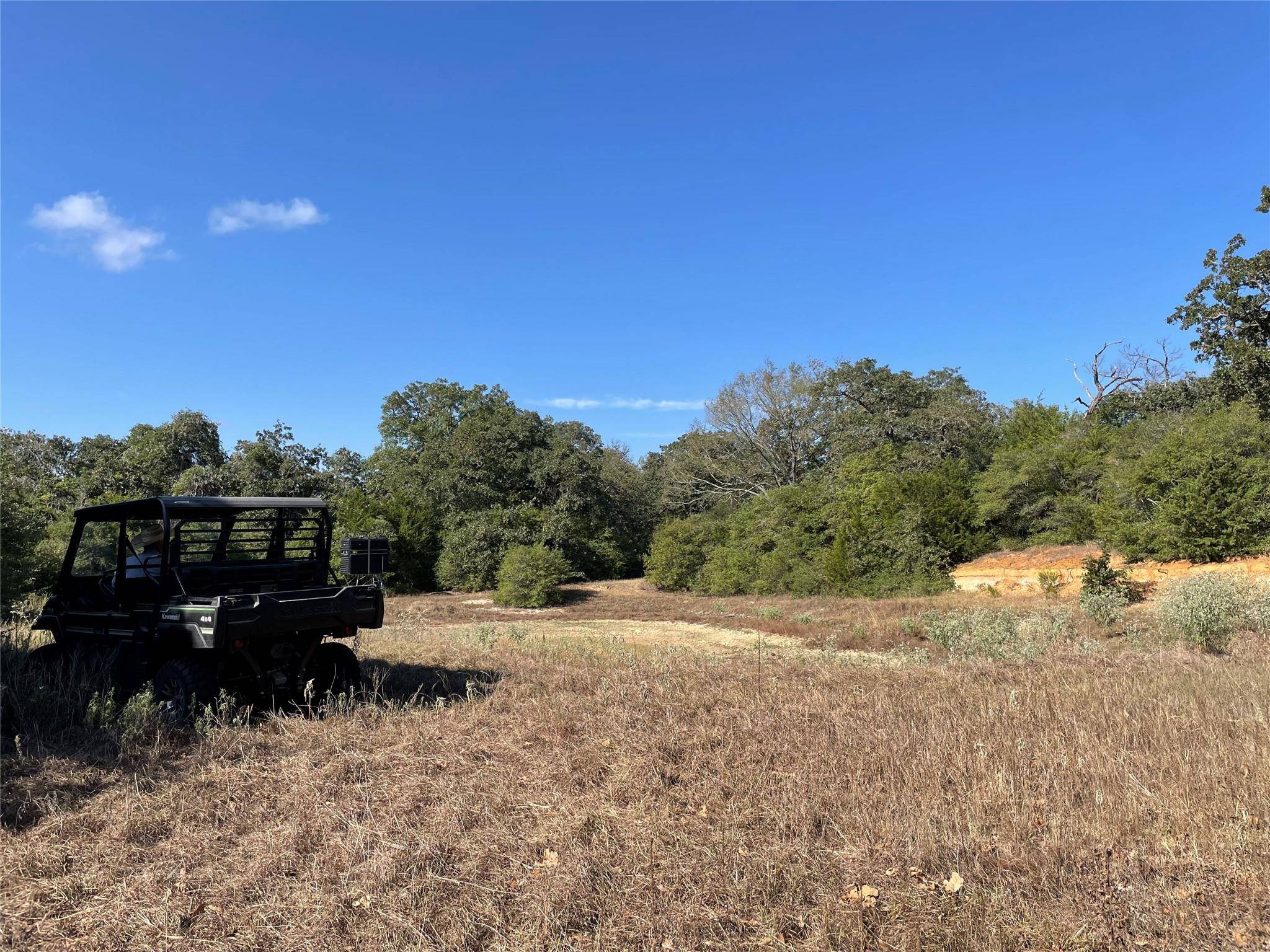 1813 Lone Star LN, Franklin, TX 77856