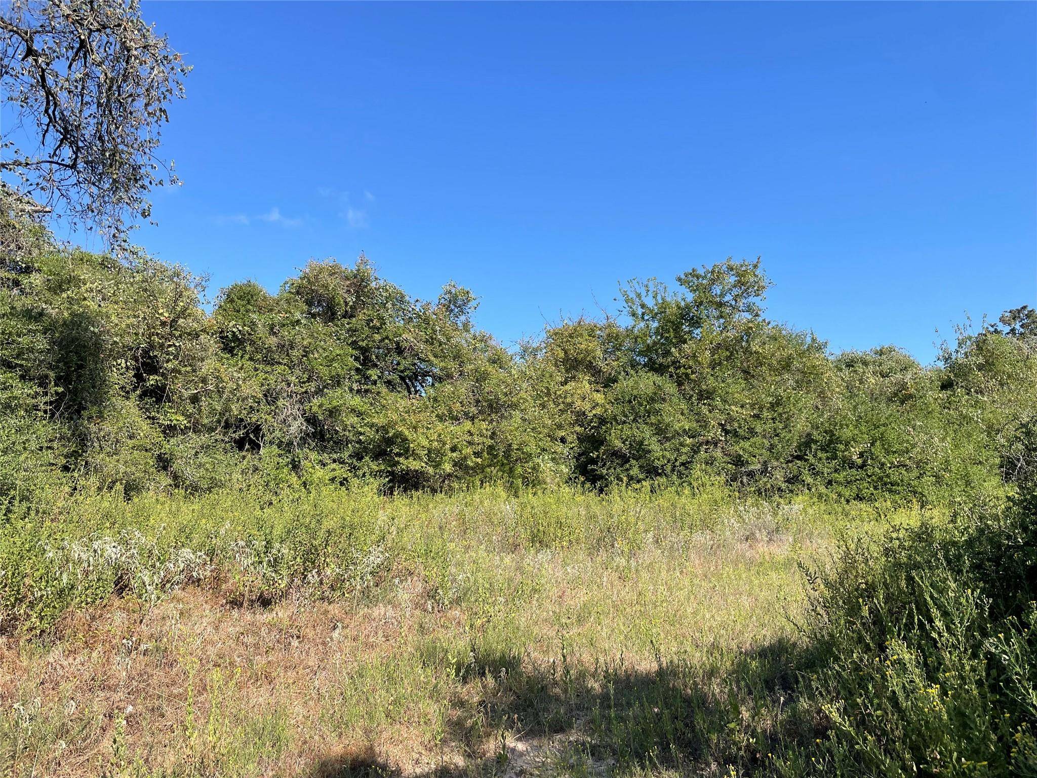 1813 Lone Star LN, Franklin, TX 77856