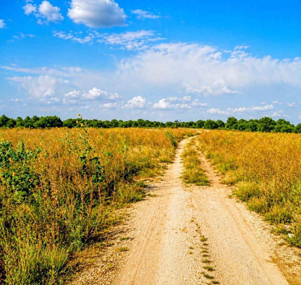 12230 Highway183 HWY, Florence, TX 76527