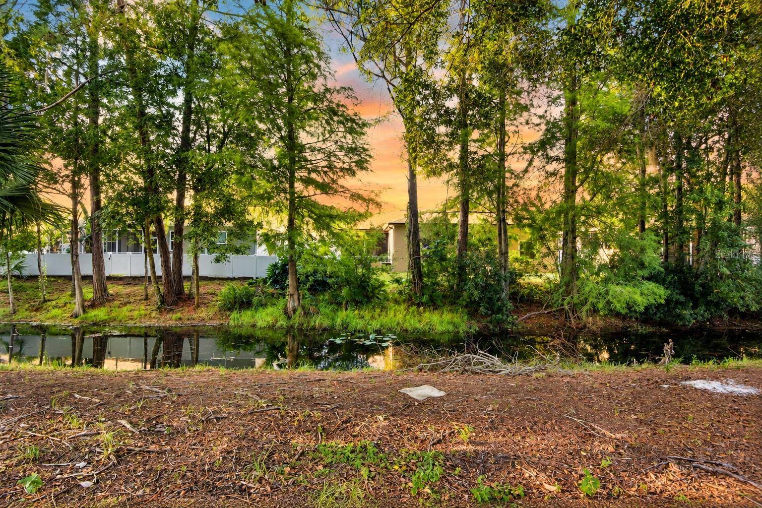 7207 OTTER CREEK DR, New Port Richey, FL 34655