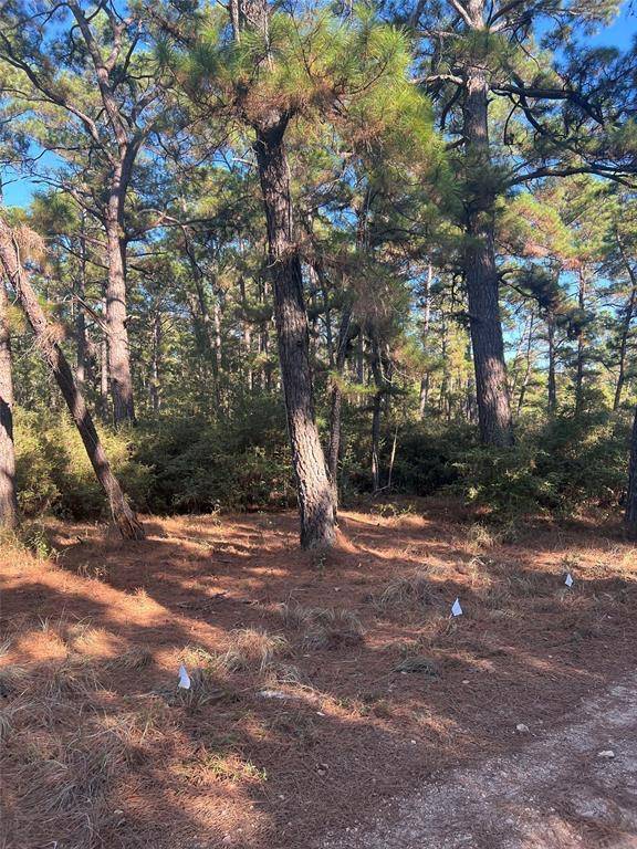 Lot 43 Pine Lodge DR, Bastrop, TX 78602