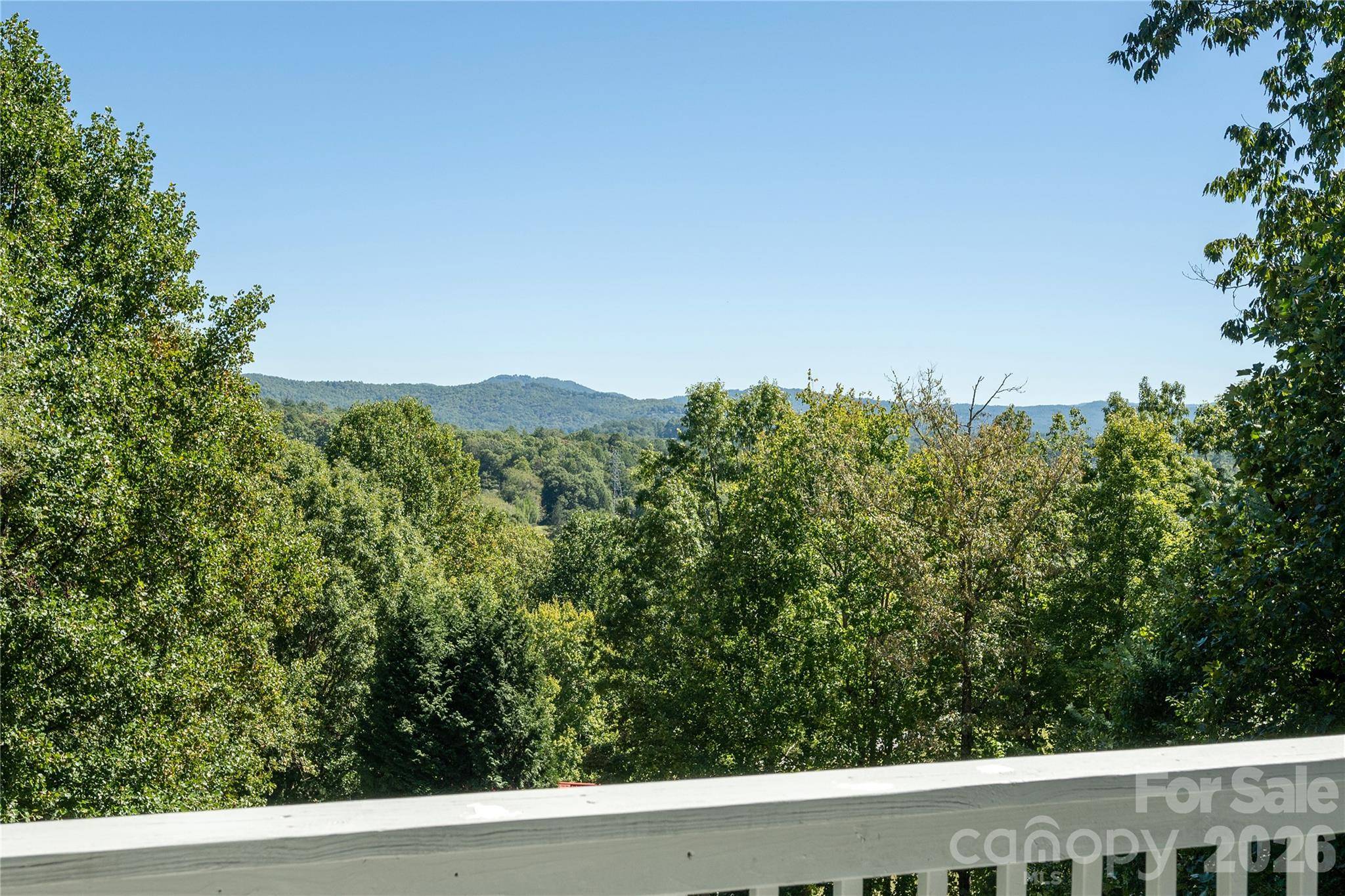 219 Greens View DR, Horse Shoe, NC 28742
