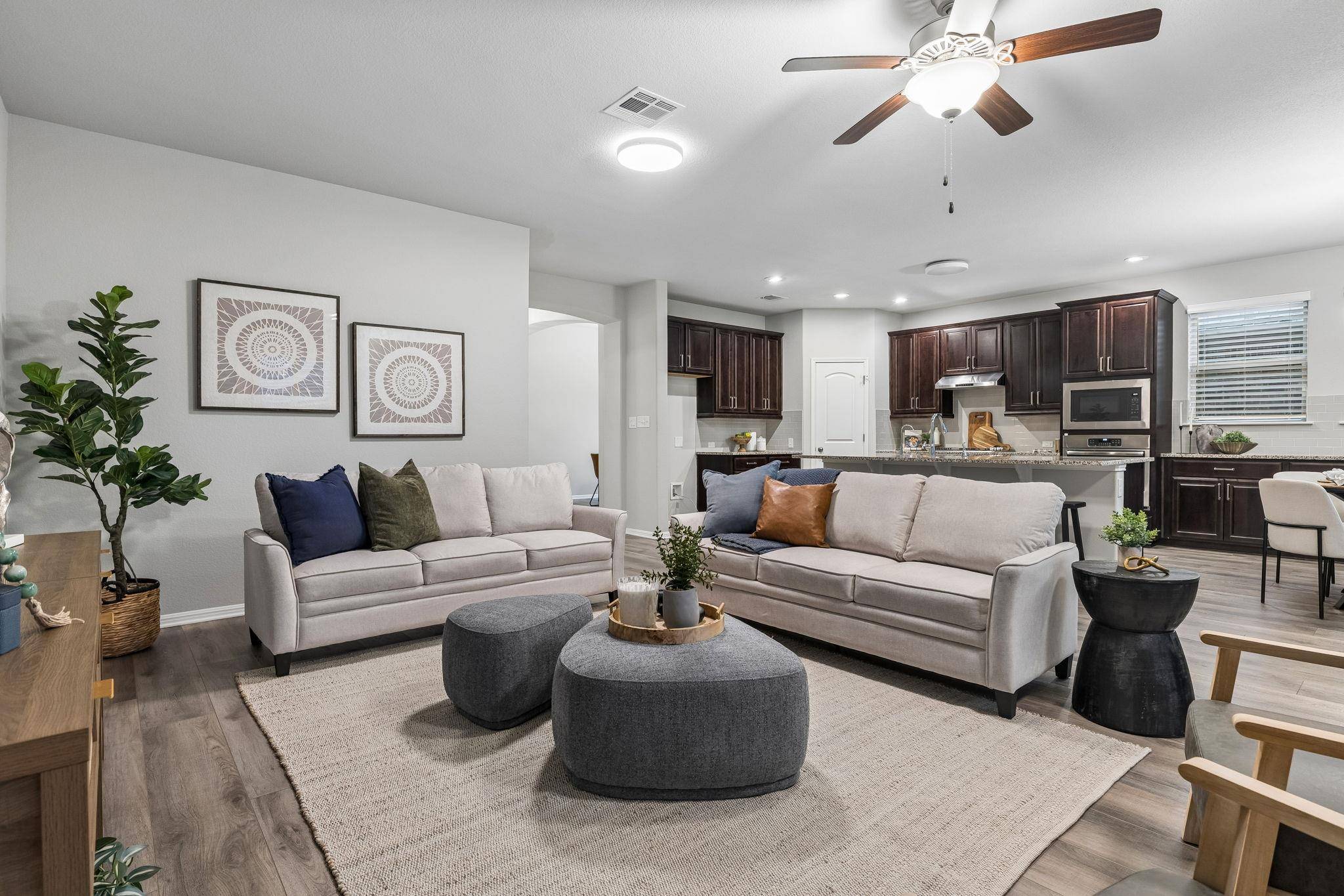 2516 Portici PASS, Round Rock, TX 78665