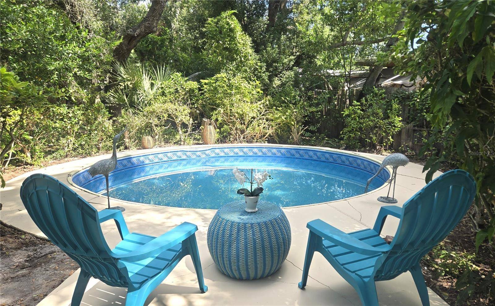 1721 DORCHESTER RD, Clearwater, FL 33764