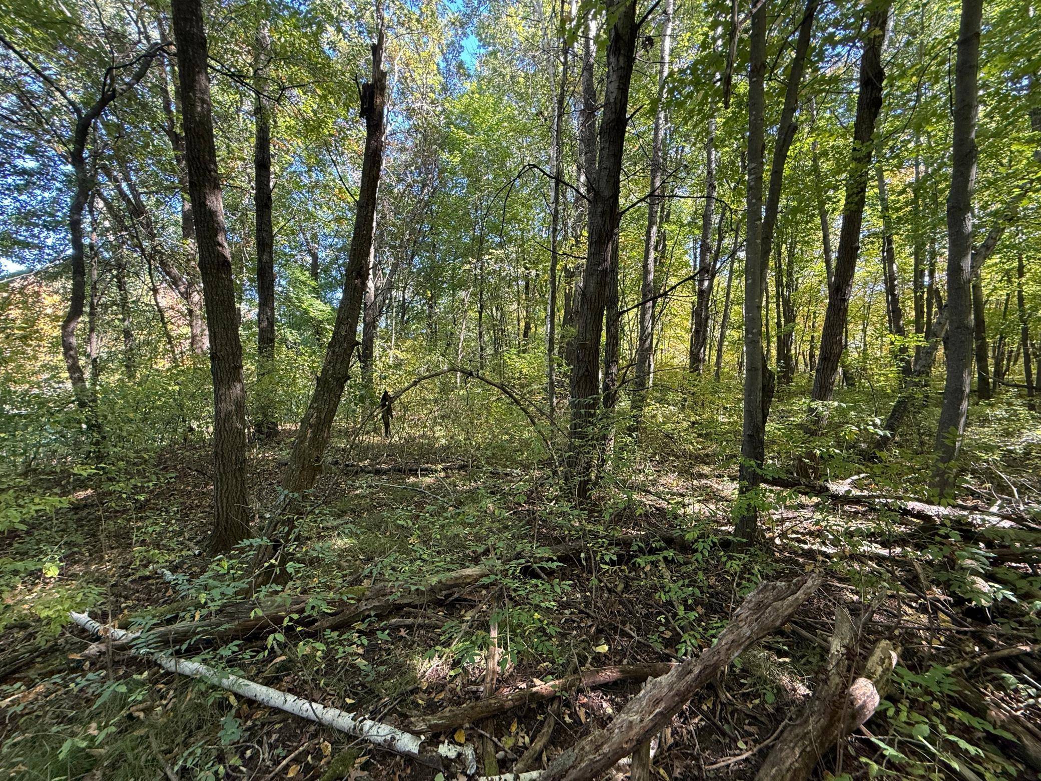 tbd 90th AVE, Amery, WI 54001