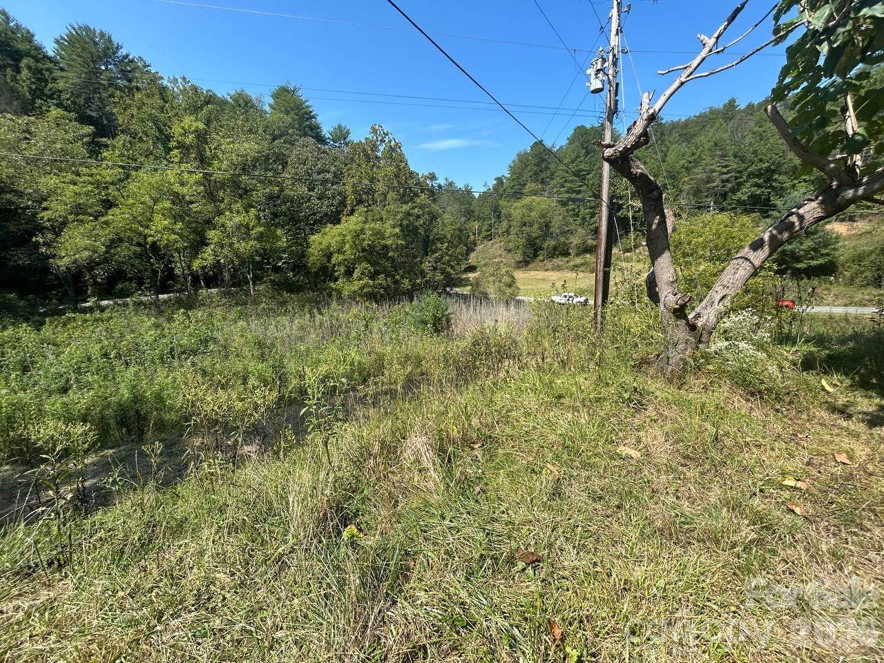 2635 Lower Gabriels Creek RD, Mars Hill, NC 28754