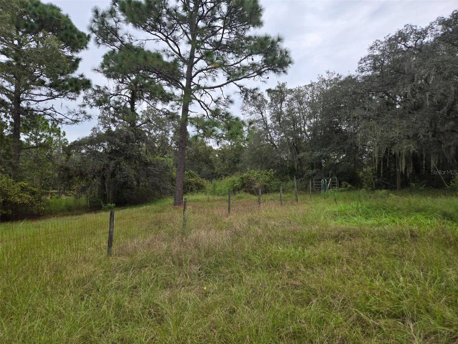 6535 N EWOK PT, Dunnellon, FL 34433