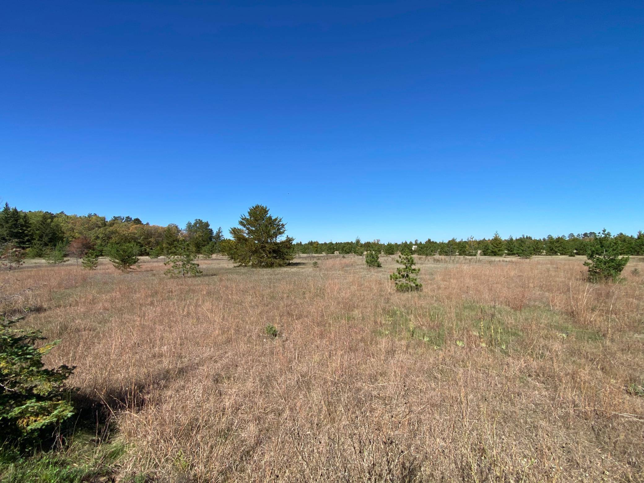 TBD State Hwy 87 - Lot 1, Park Rapids, MN 56470