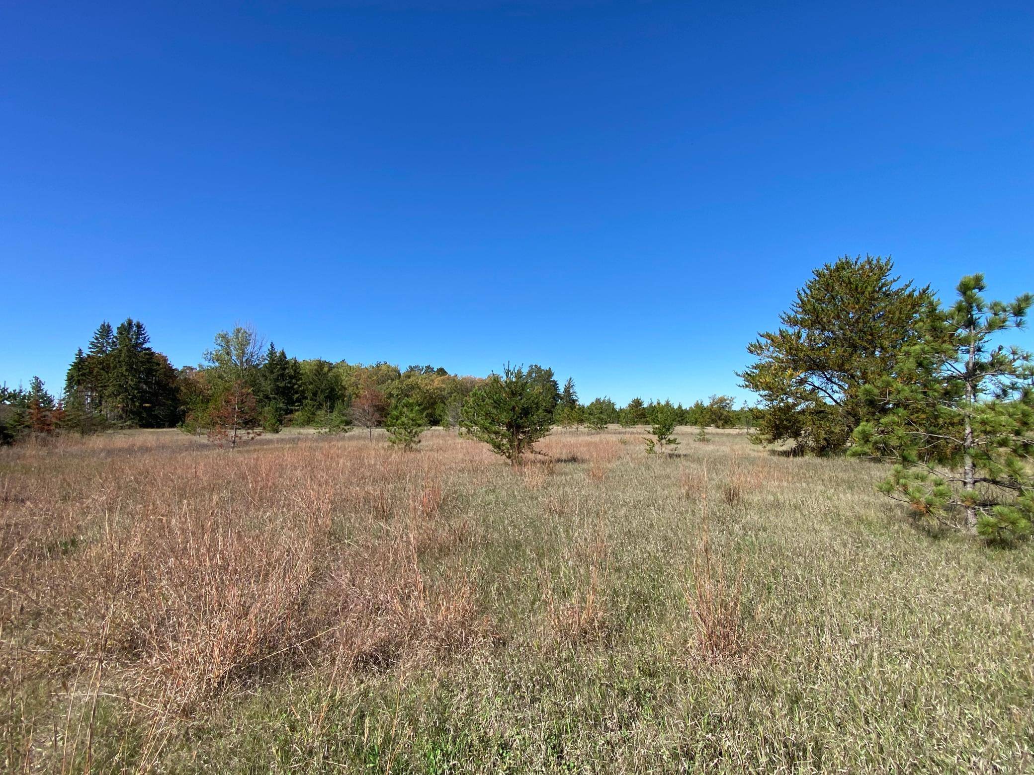 TBD State Hwy 87 - Lot 2, Park Rapids, MN 56470