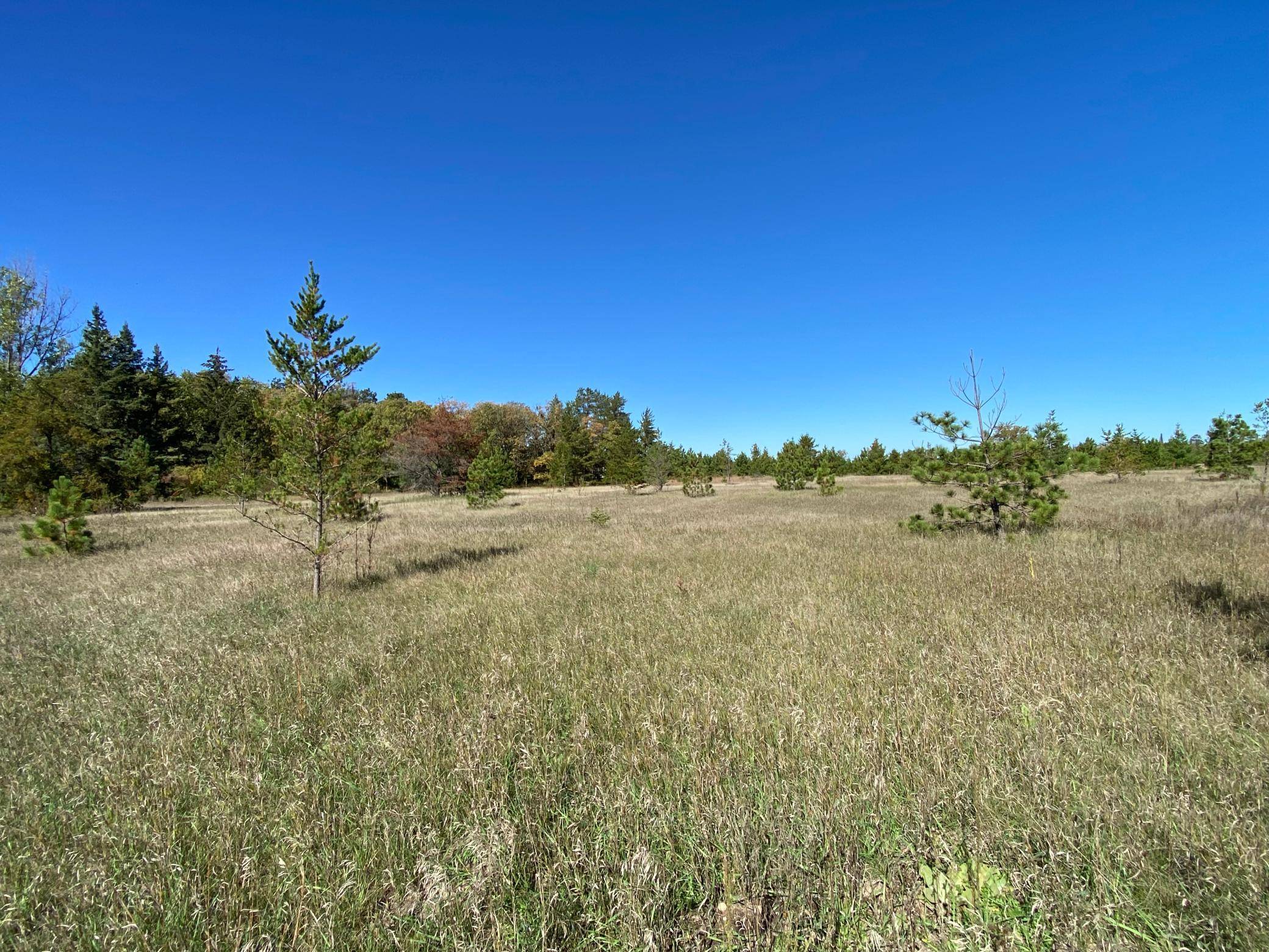 TBD State Hwy 87 - Lot 2, Park Rapids, MN 56470