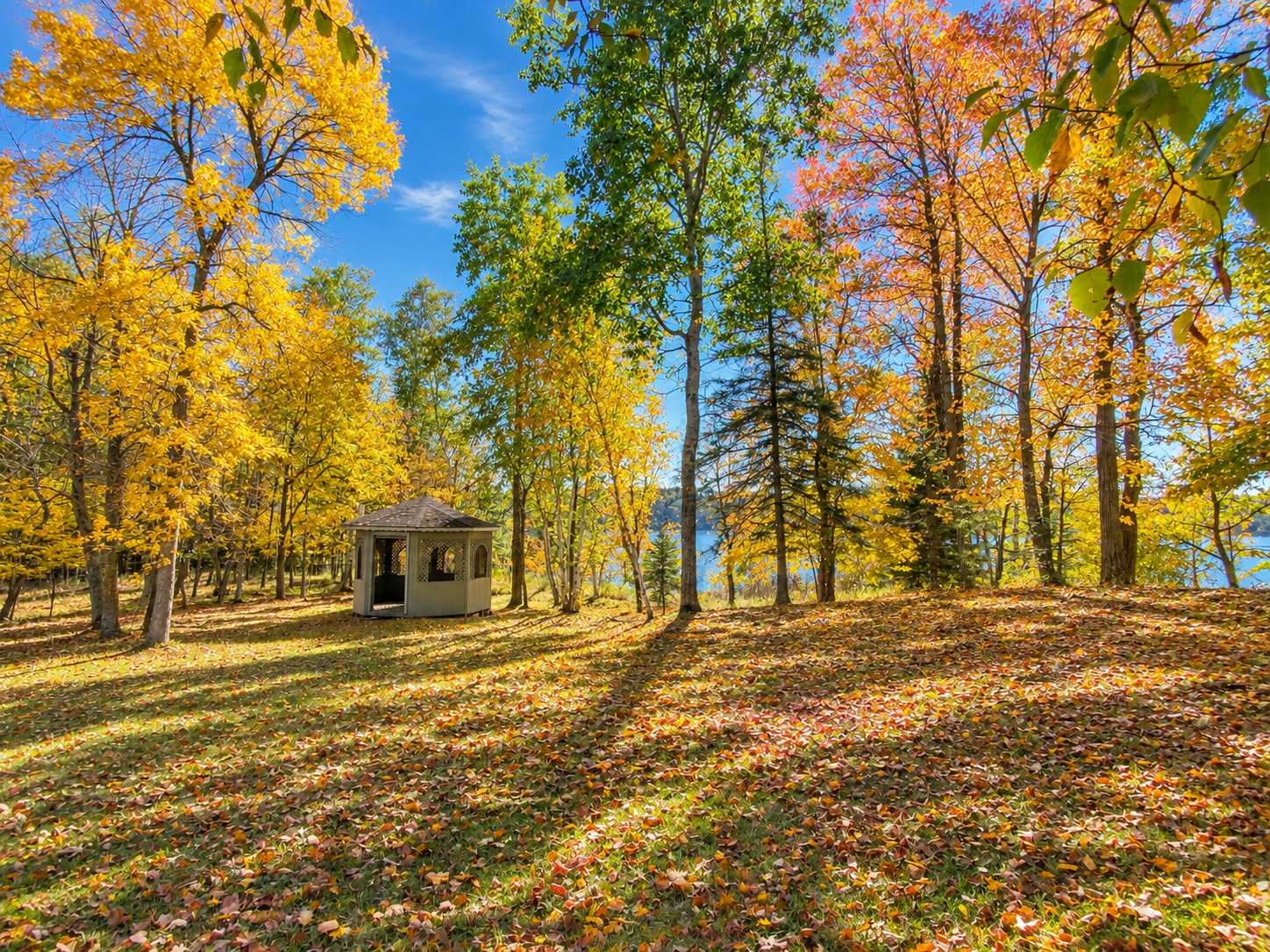 21081 Ginger RD, Park Rapids, MN 56470