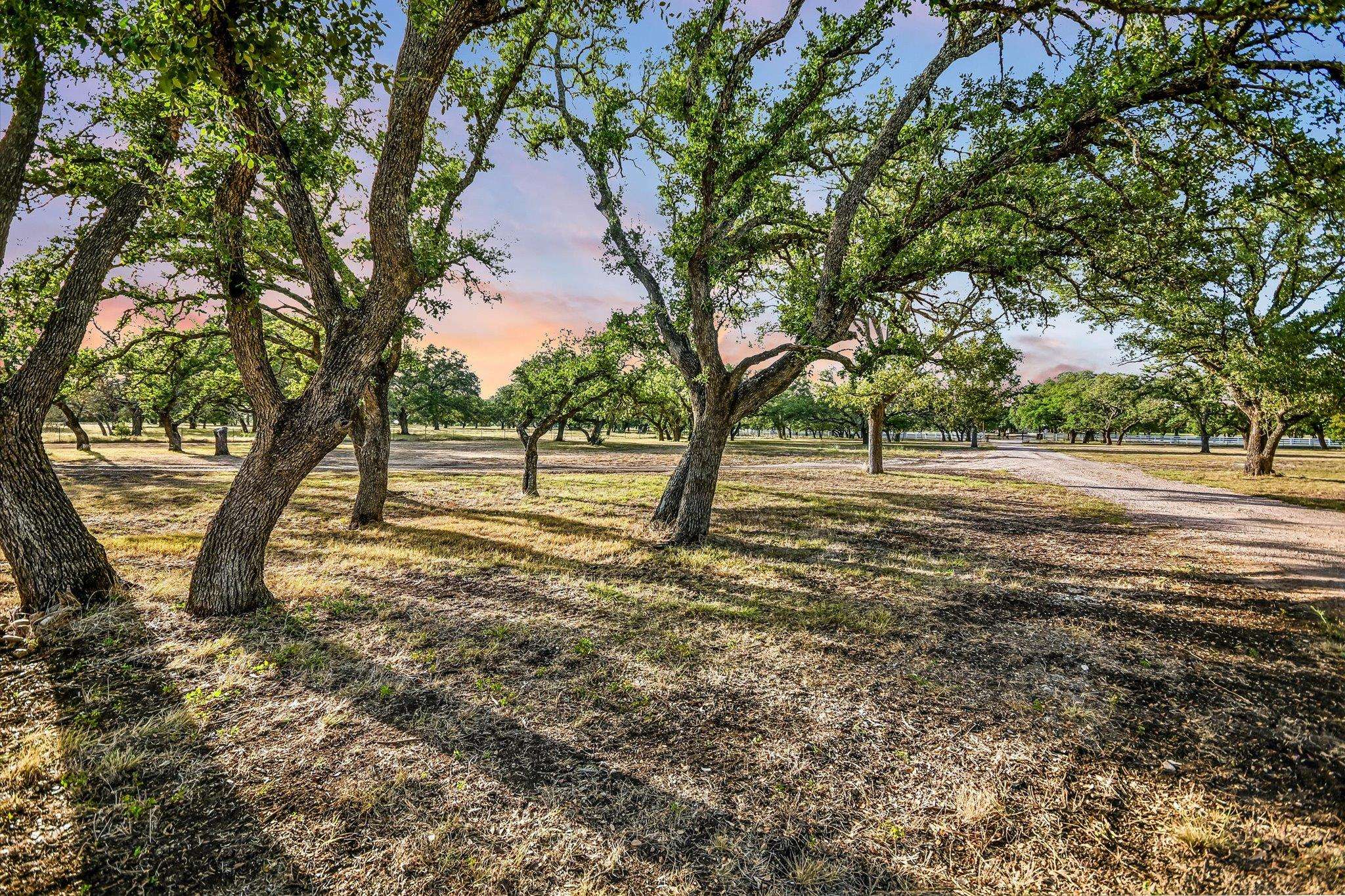 1295 Park Rd 4, Burnet, TX 78611