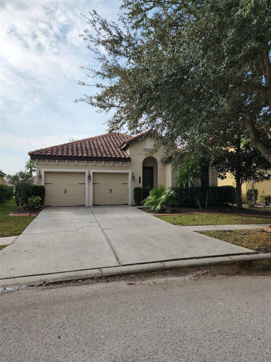 20311 CHESTNUT GROVE DR, Tampa, FL 33647