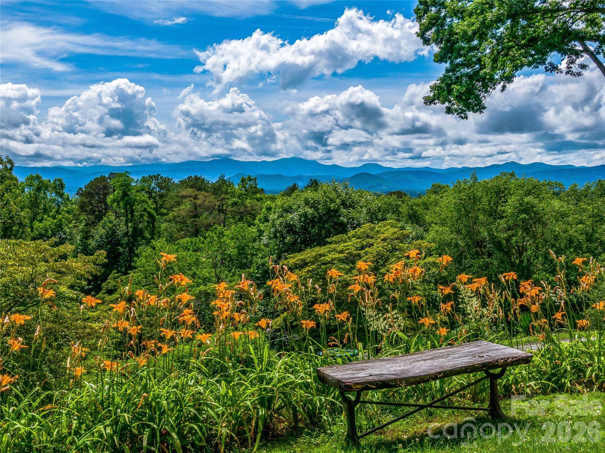 170 Twin Springs RD, Hendersonville, NC 28792