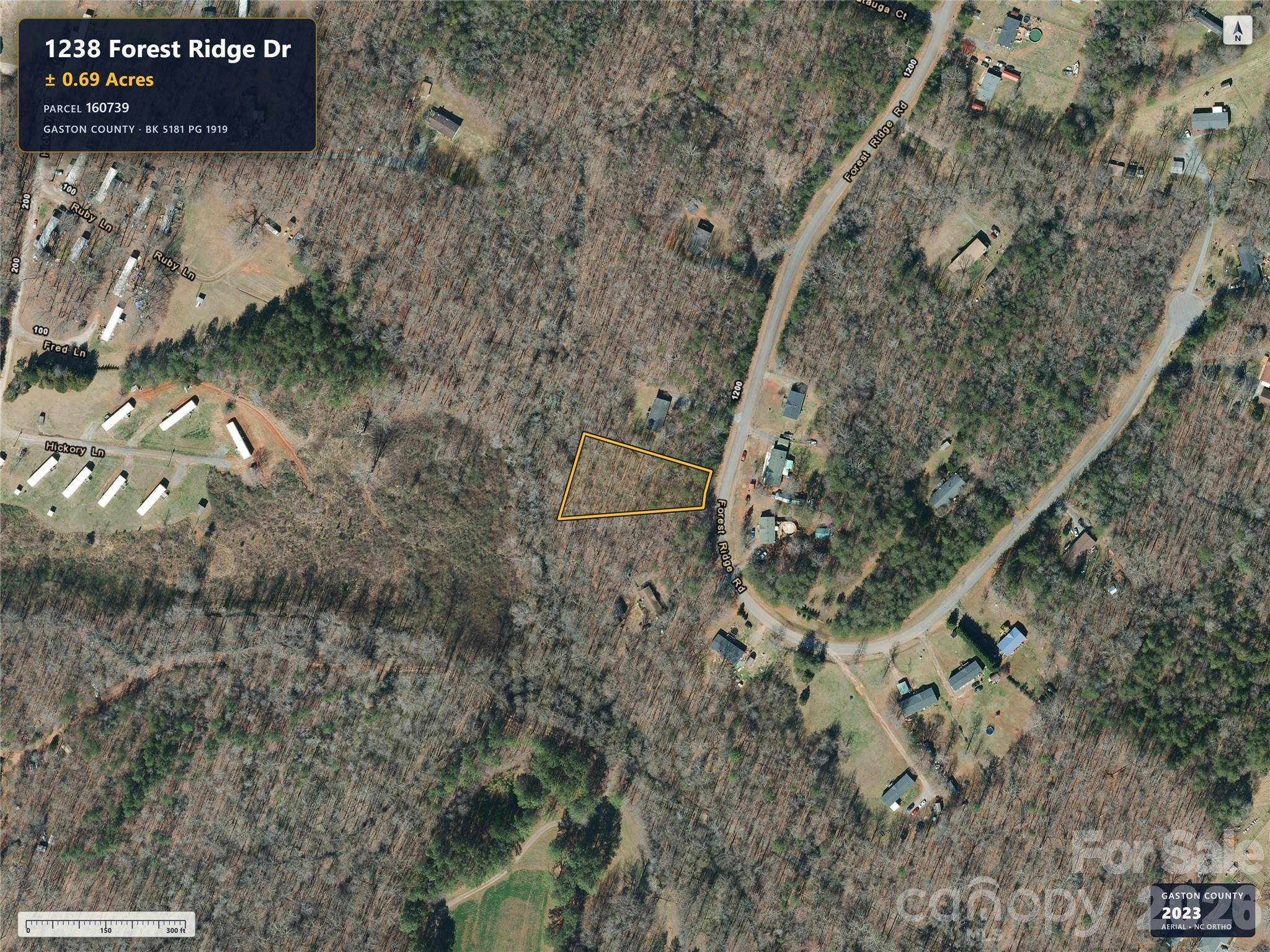 1238 Forest Ridge DR, Bessemer City, NC 28016