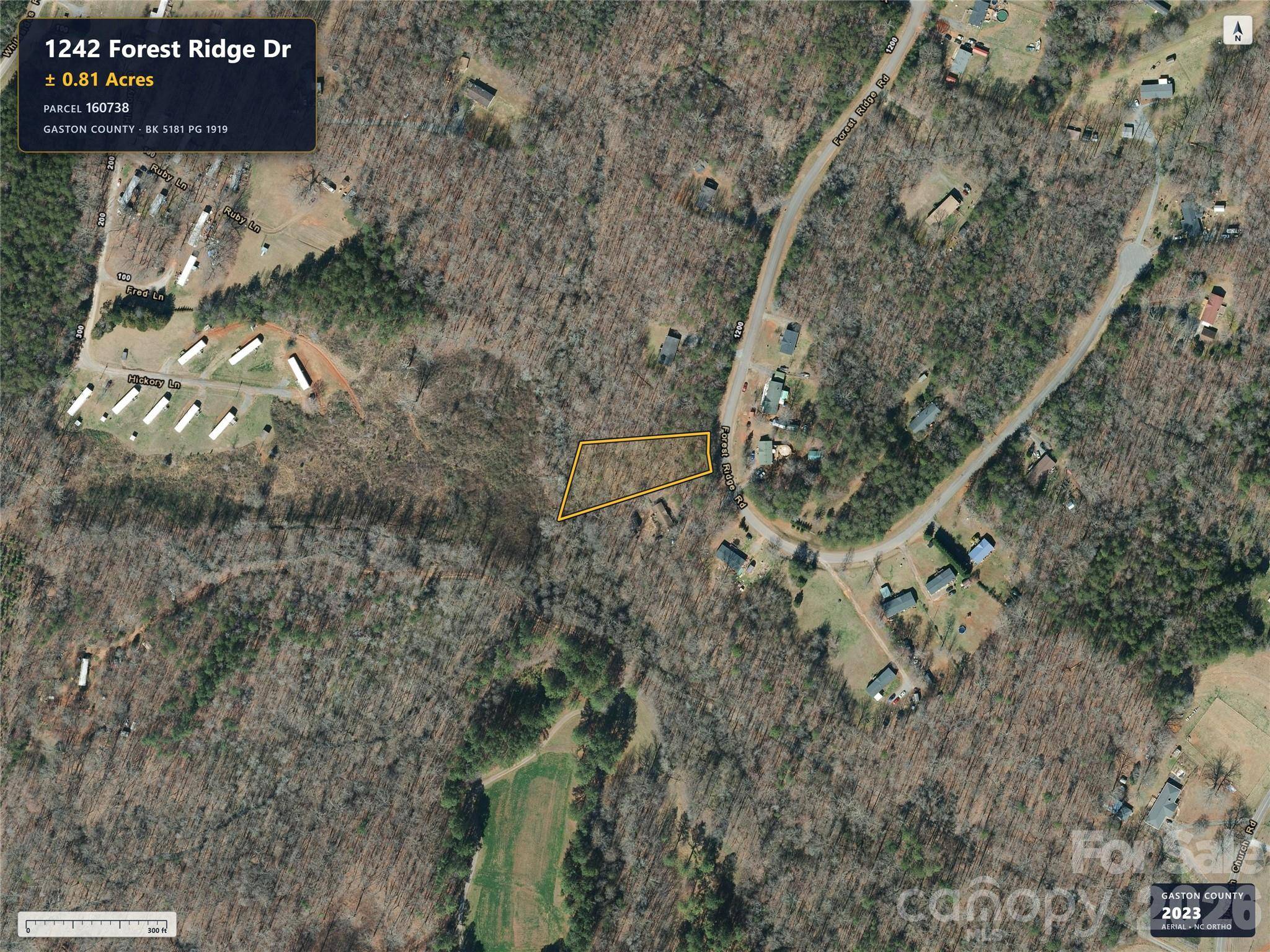 1242 Forest Ridge DR, Bessemer City, NC 28016