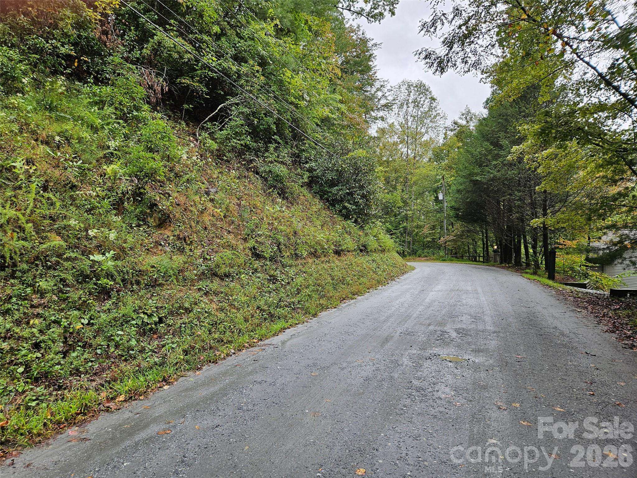 0 Rainbow CIR #8, Lake Lure, NC 28746