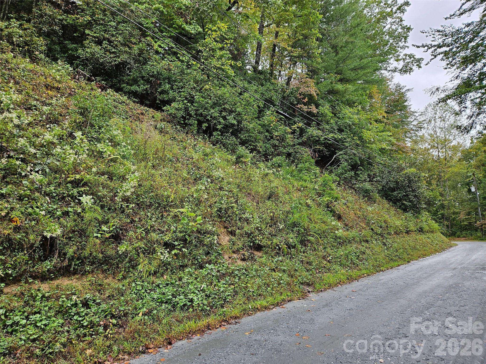 0 Rainbow CIR #8, Lake Lure, NC 28746