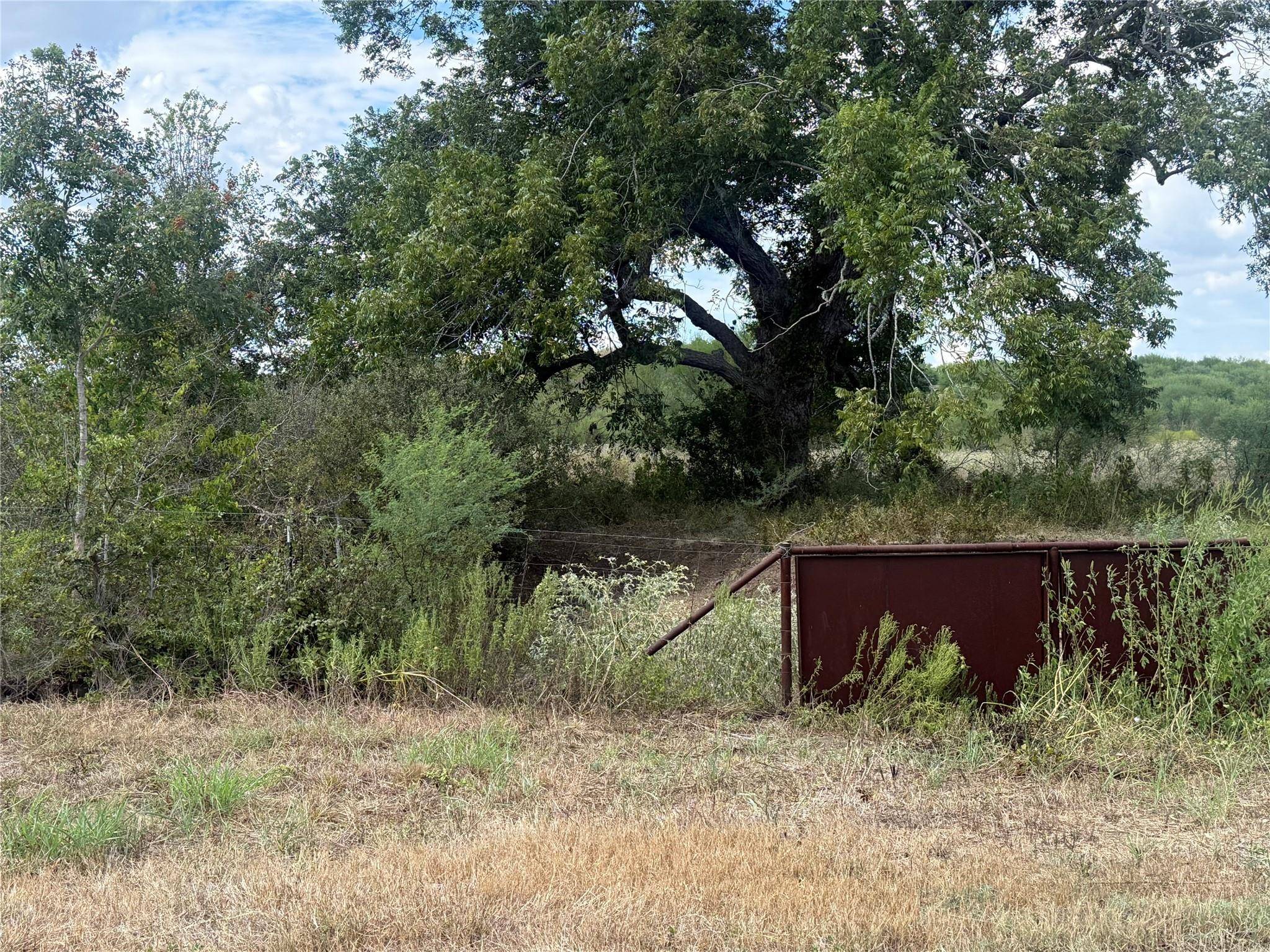 TBD Wilke RD, Kingsbury, TX 78638