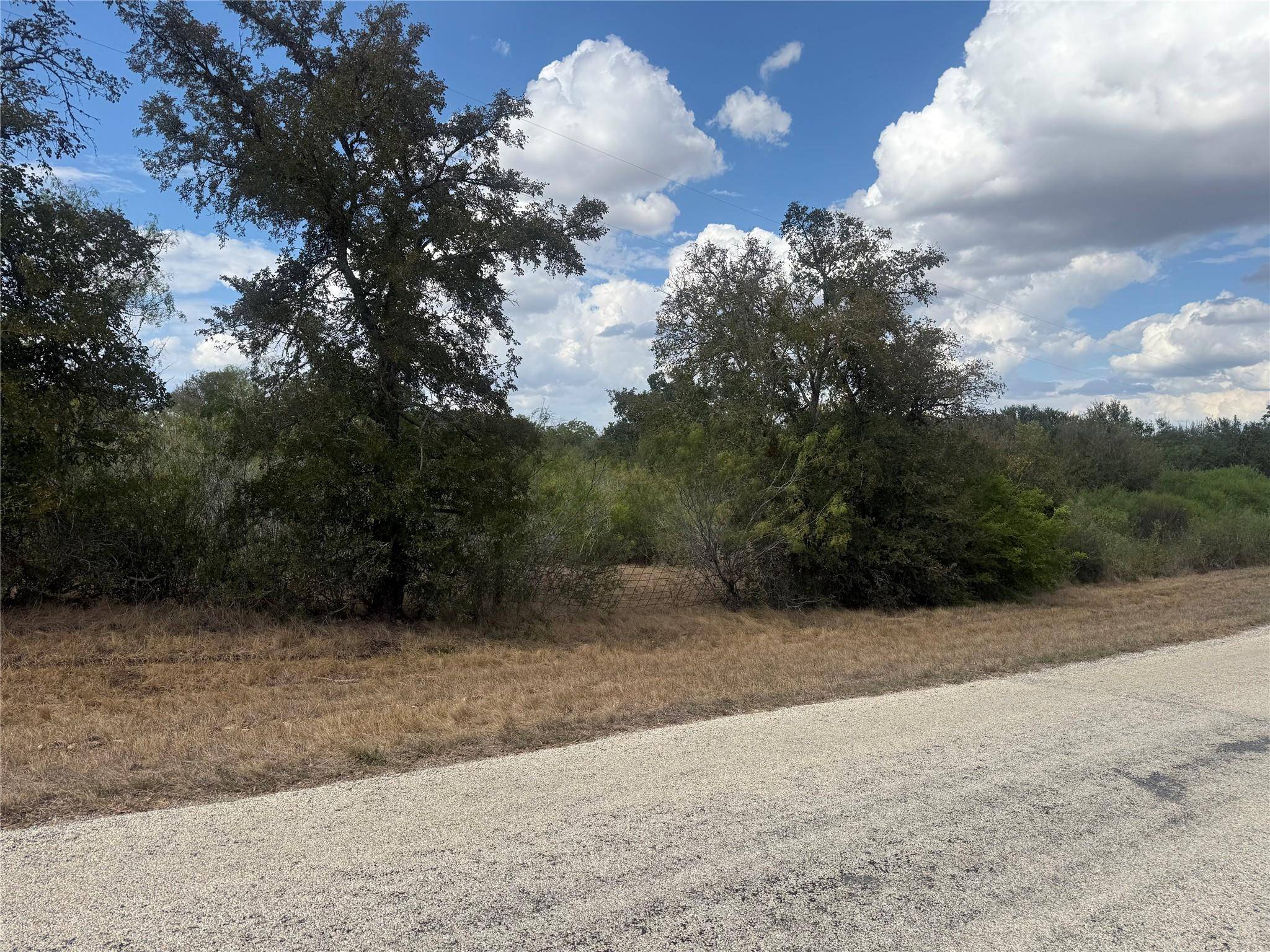 TBD Wilke RD, Kingsbury, TX 78638