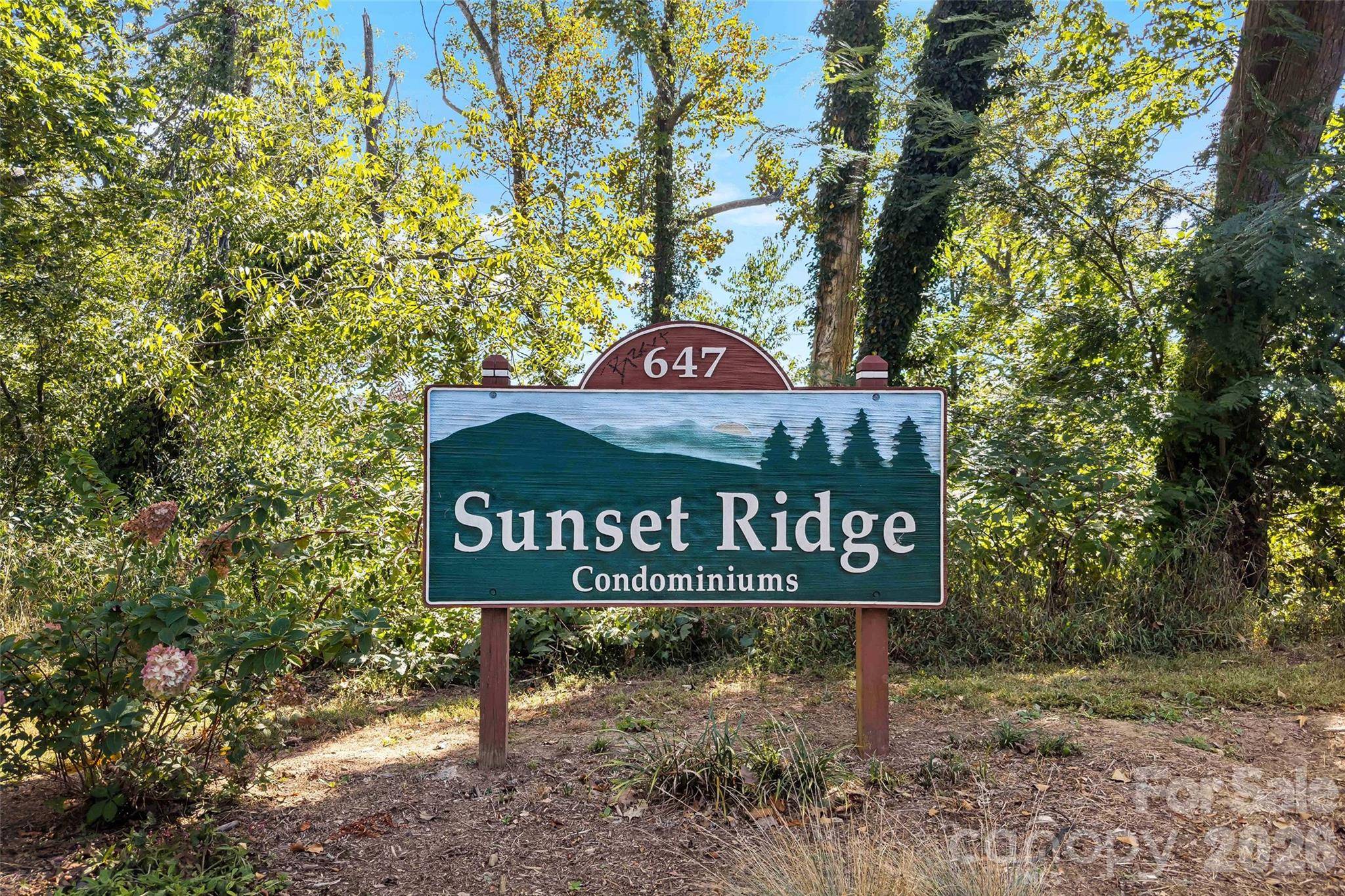 647 Town Mountain RD #407, Asheville, NC 28804