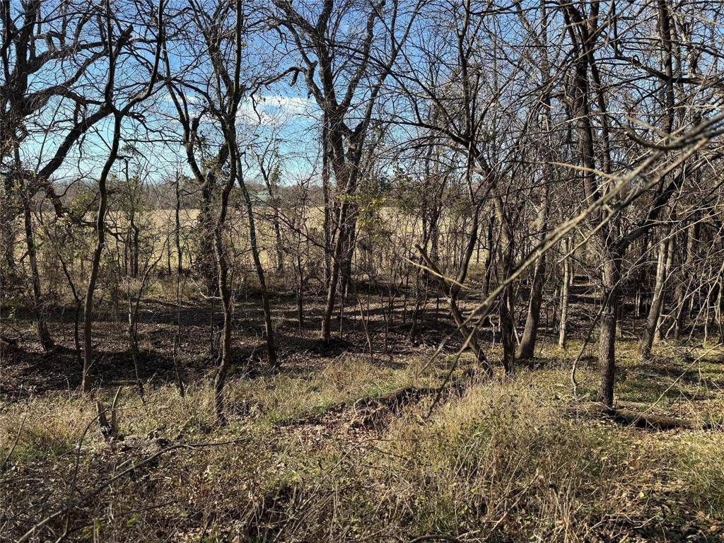 Lot 4 TBD Hidden Valley Road, Valley View, TX 76272