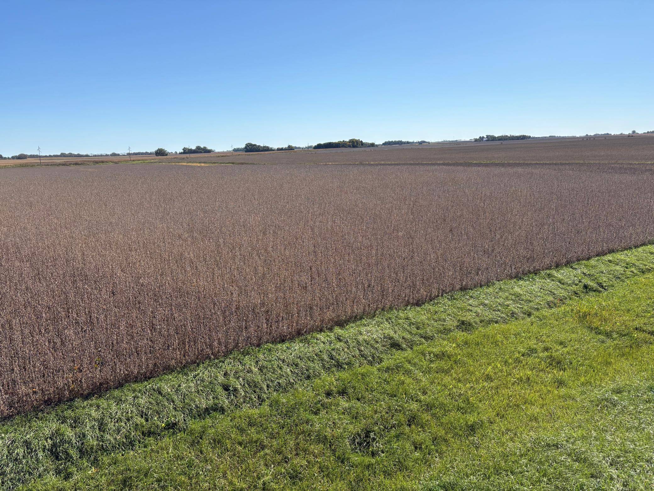TBD 540th AVE, Wells, MN 56097