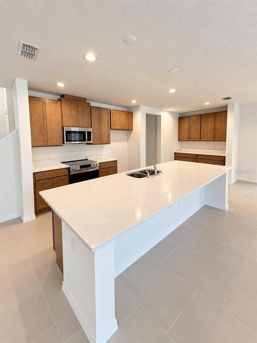 1437 SAWGRASS HAMMOCK LN, Davenport, FL 33837