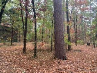 1042 Winding Trail, Holly Lake Ranch, TX 75765