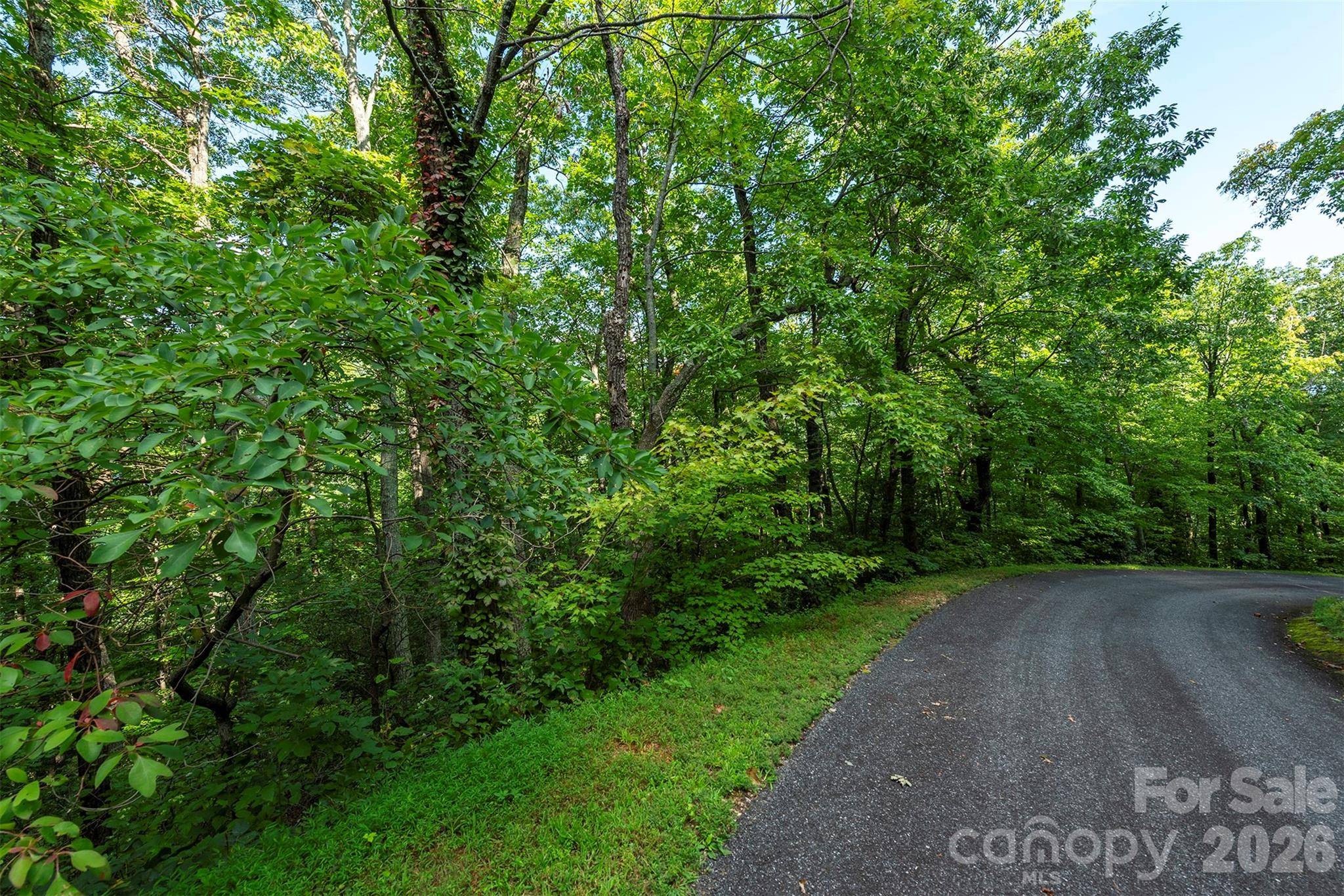 1405 North Haven DR, Black Mountain, NC 28711