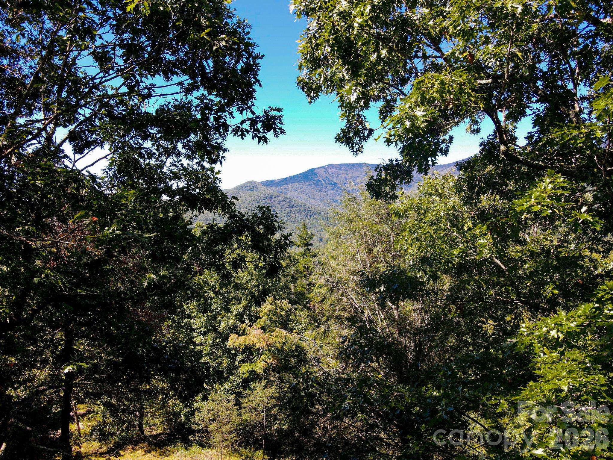 335 Mt. Mitchell DR, Burnsville, NC 28714