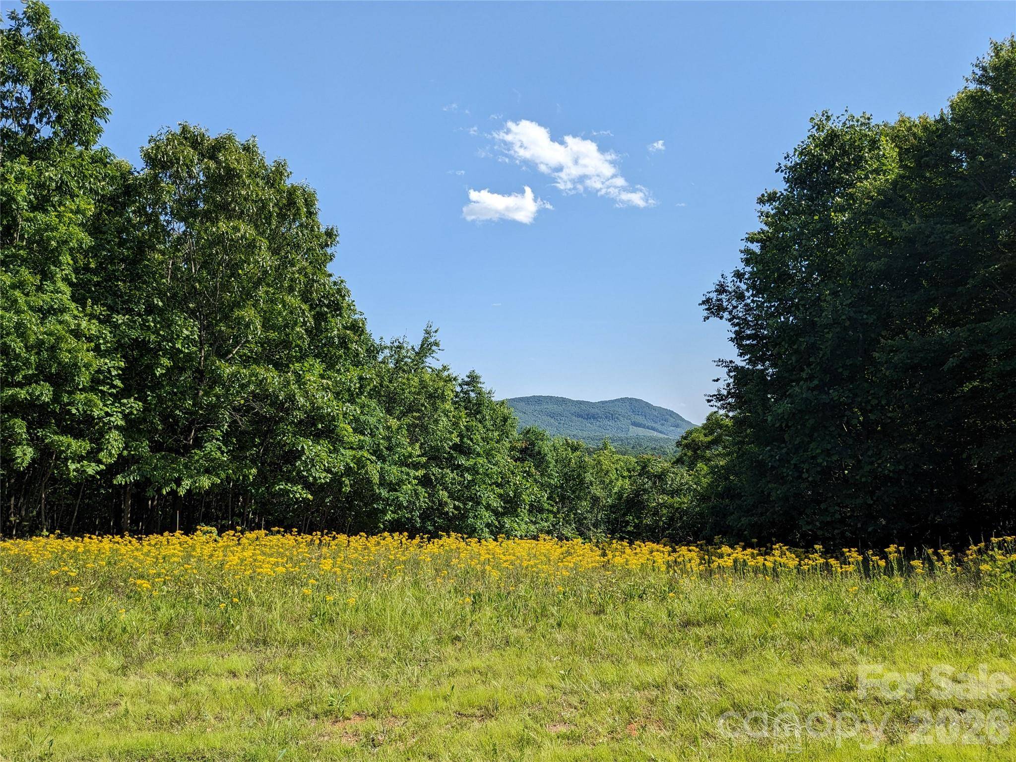 00 Stratford DR ##78, Bostic, NC 28018