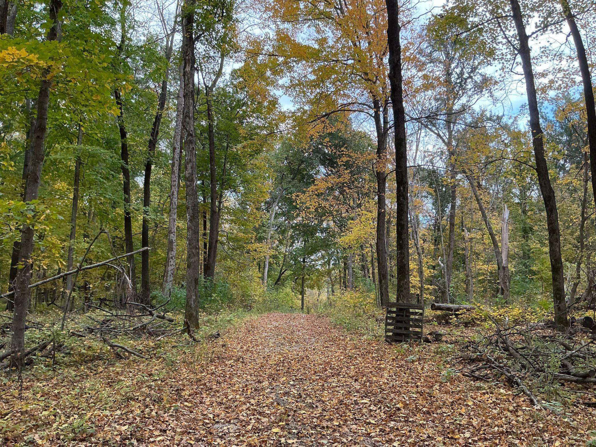 8309 County Road 19 SE, Rochester, MN 55904