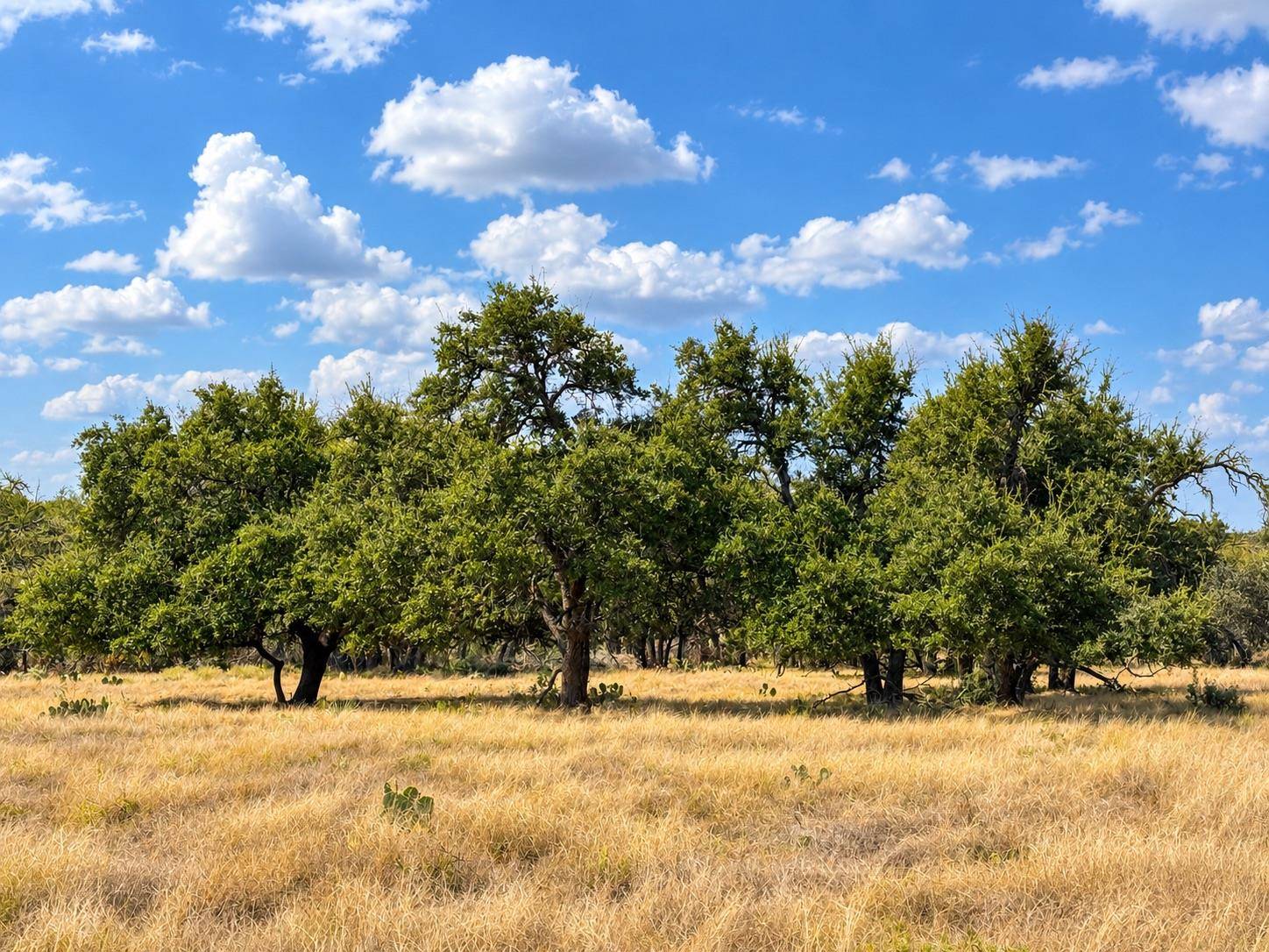 LOT 123 Fallow Drive DR, Harper, TX 78631